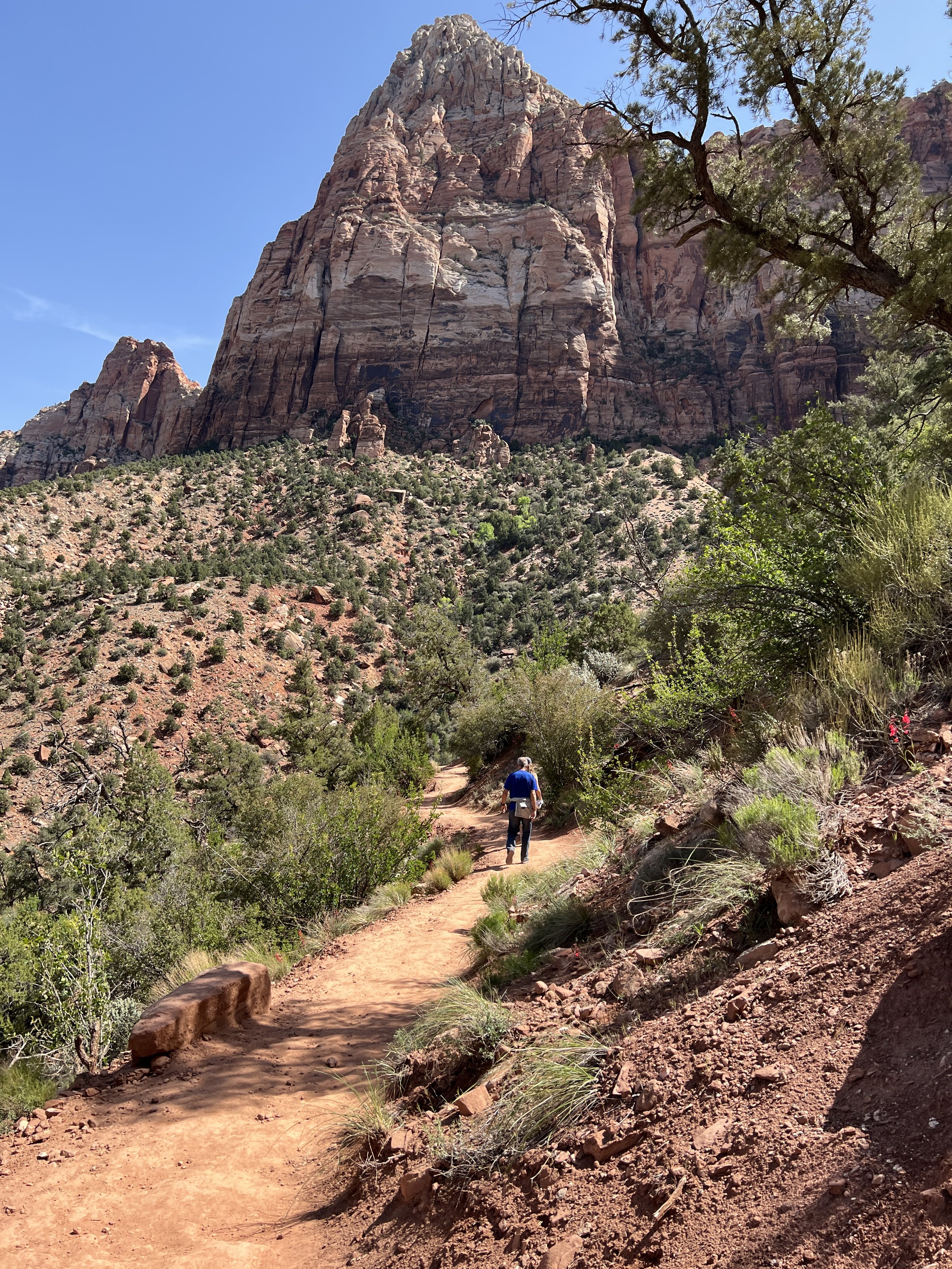 DJI_20220425_113238_978 2.JPG