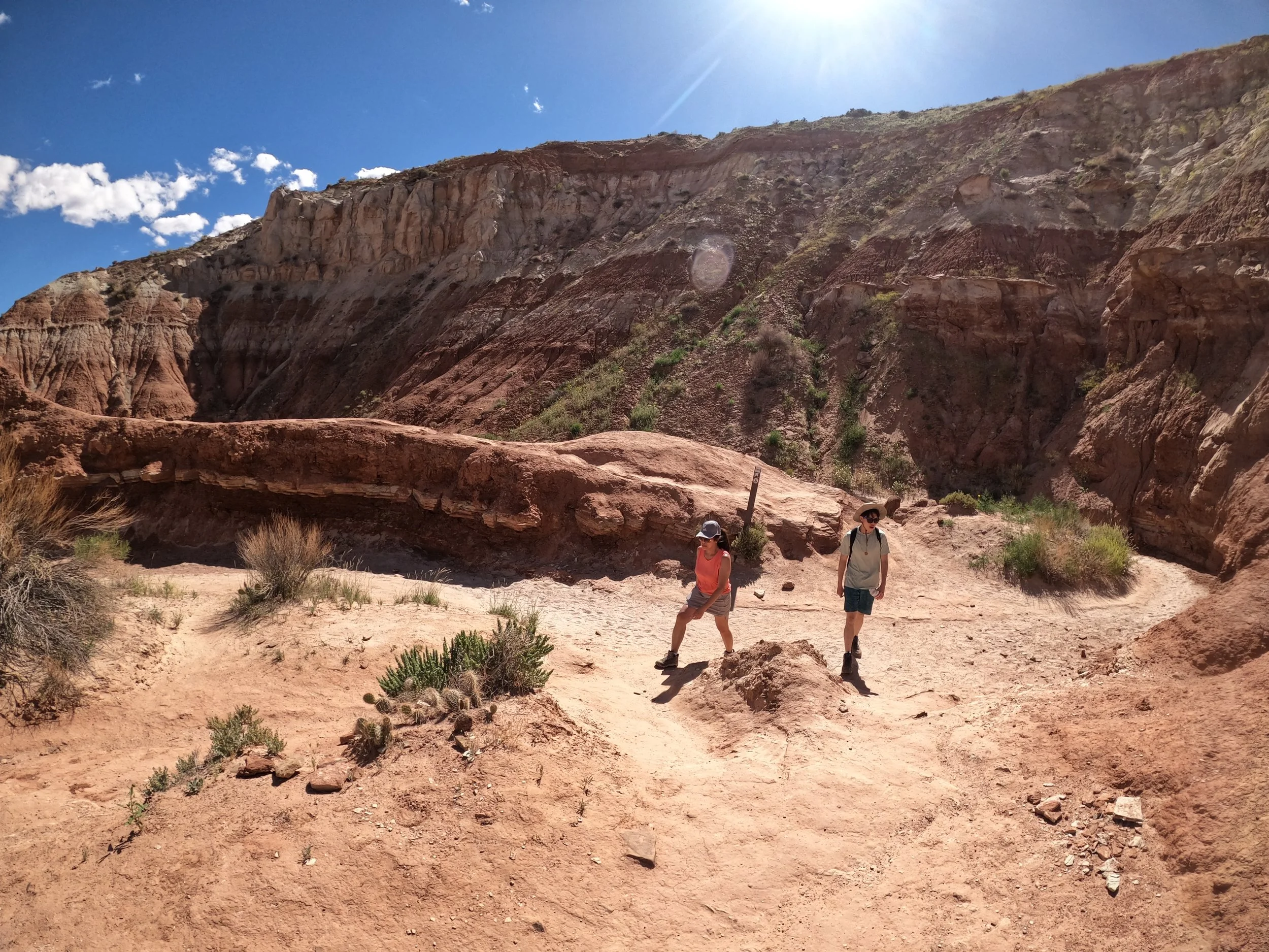 GPTempDownload 11.JPG