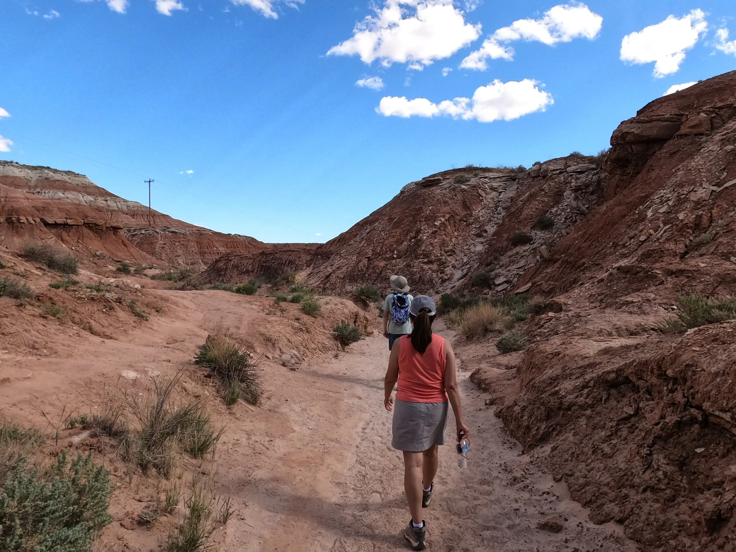 GPTempDownload 43.JPG