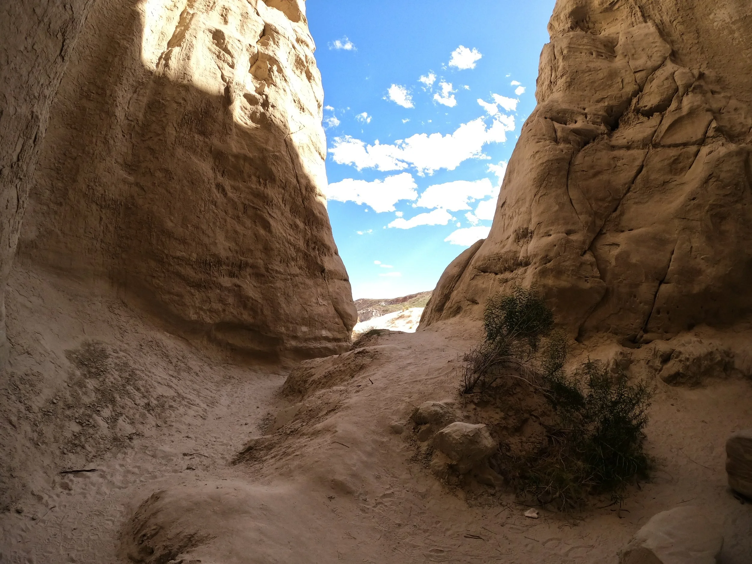 GPTempDownload 23.JPG