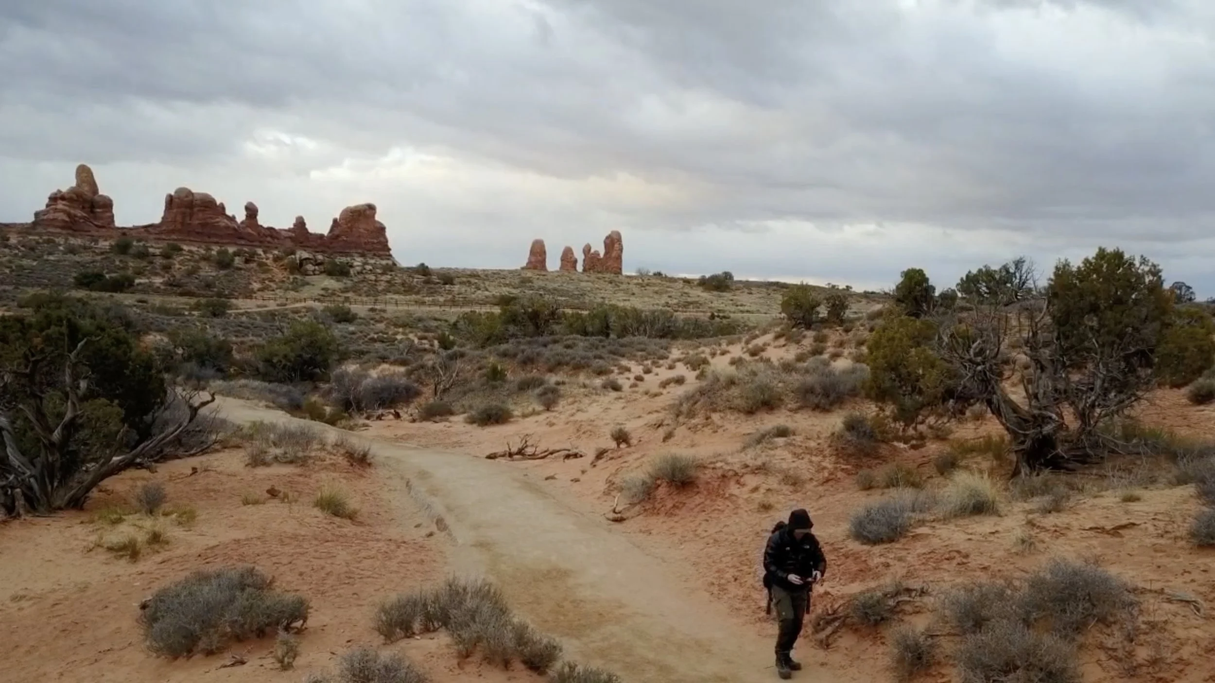 Image 2-2-26 at 2.39 PM.jpg