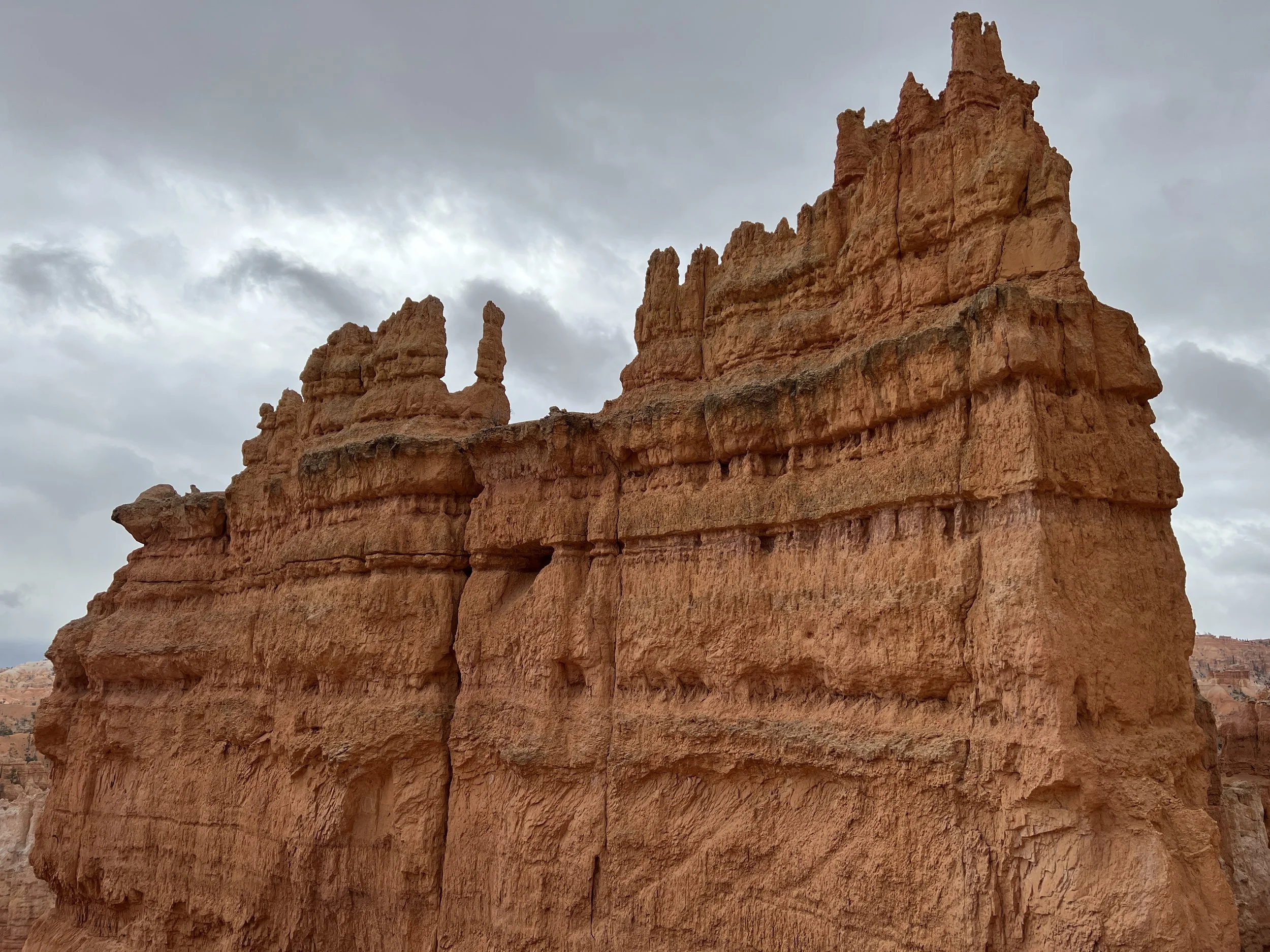 DJI_20220422_100012_702 2.JPG