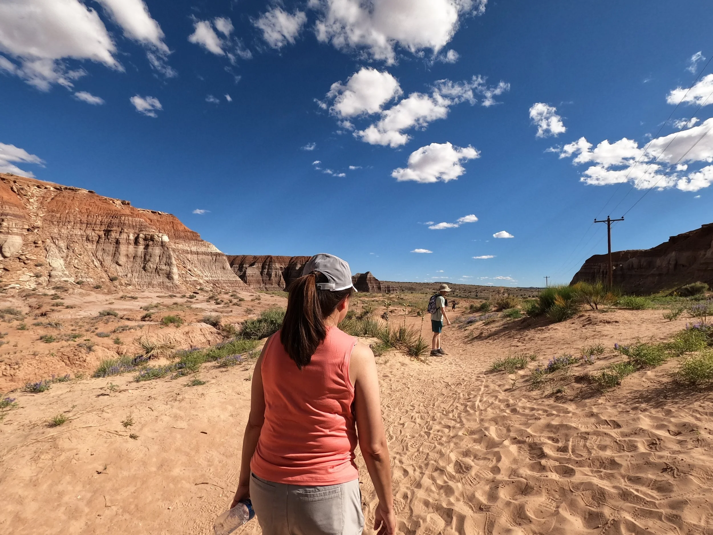 GPTempDownload 49.JPG