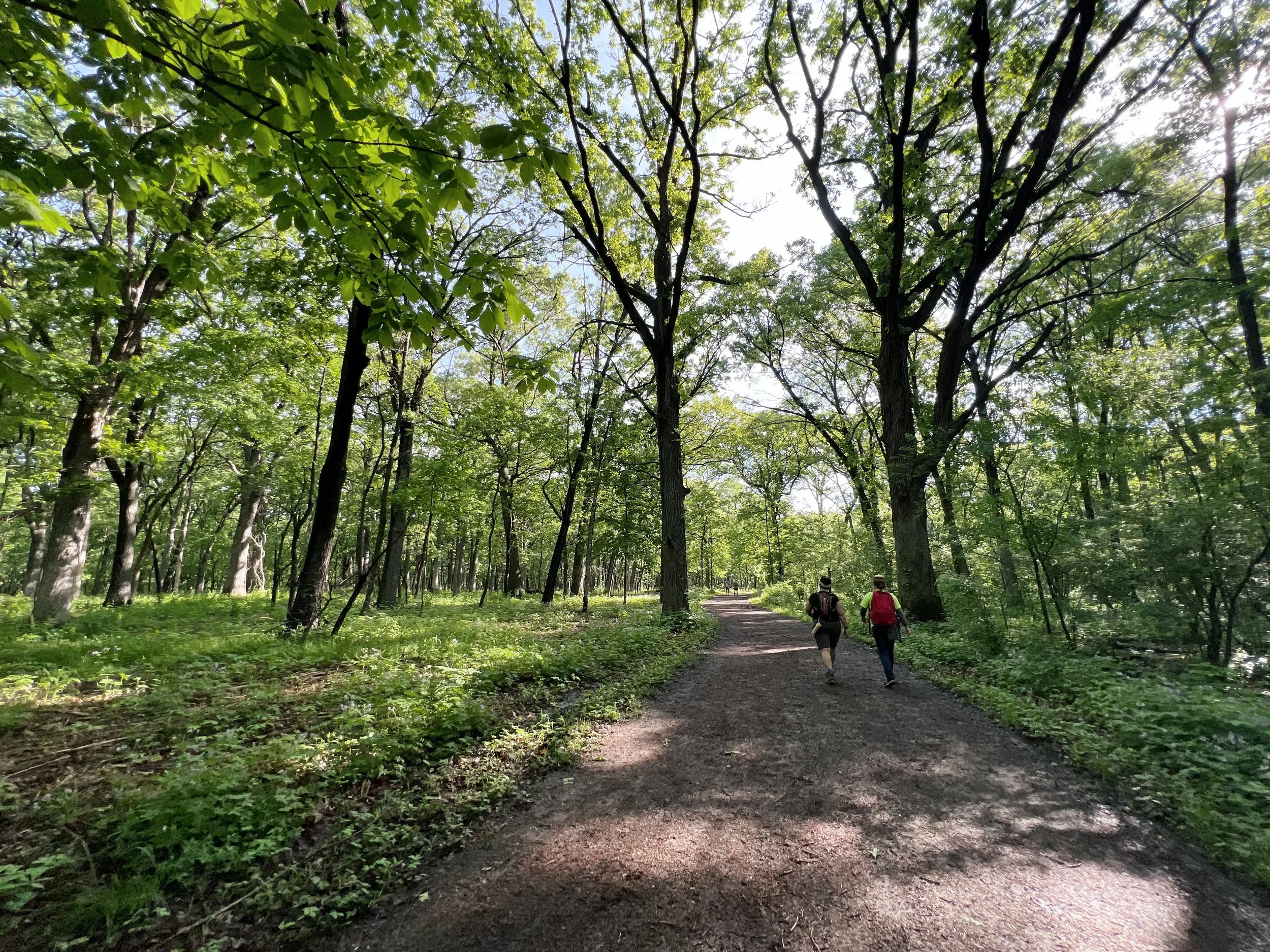 DJI_20220528_083000_531 2.JPG