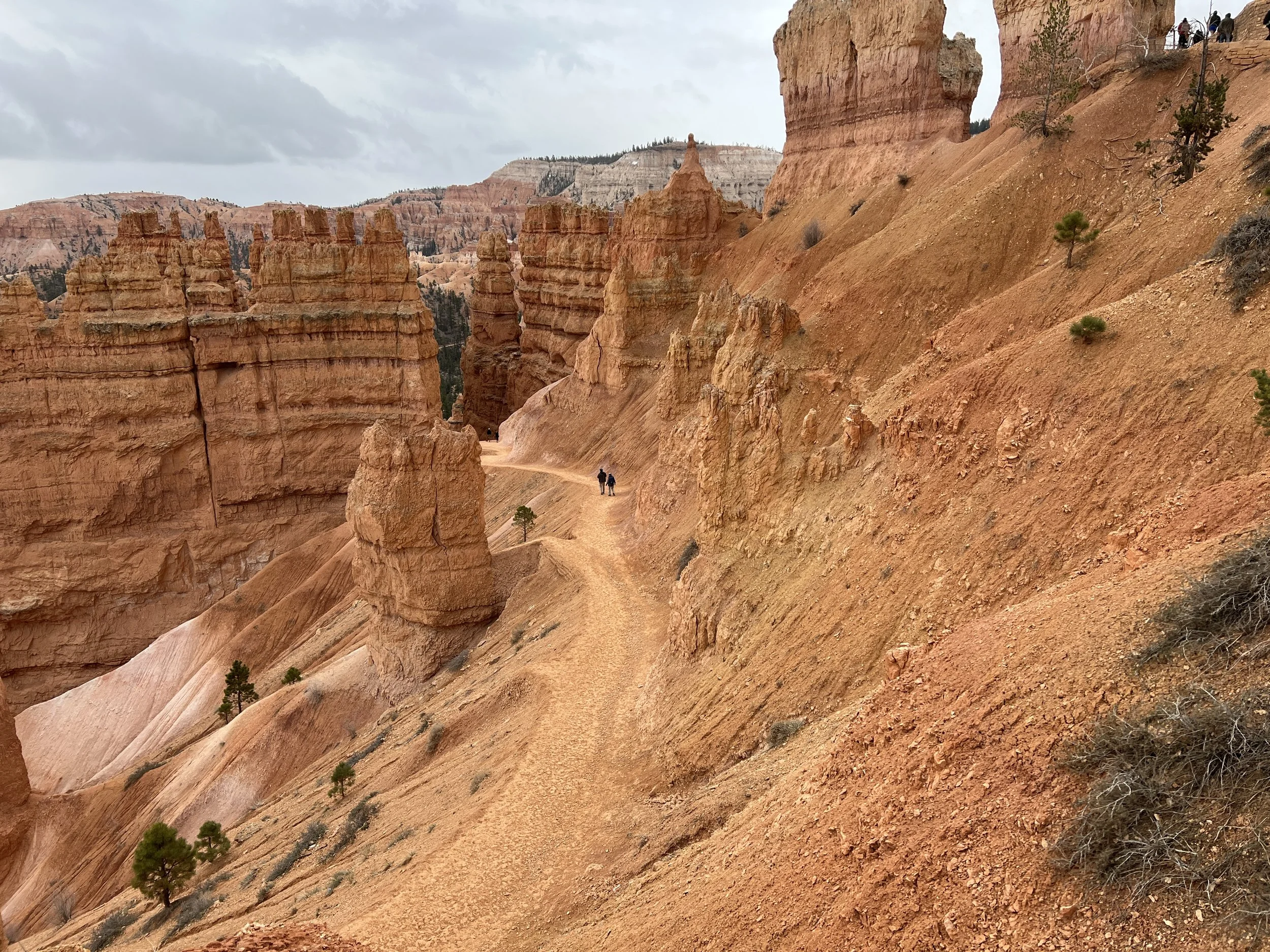 DJI_20220422_095647_202 2.JPG