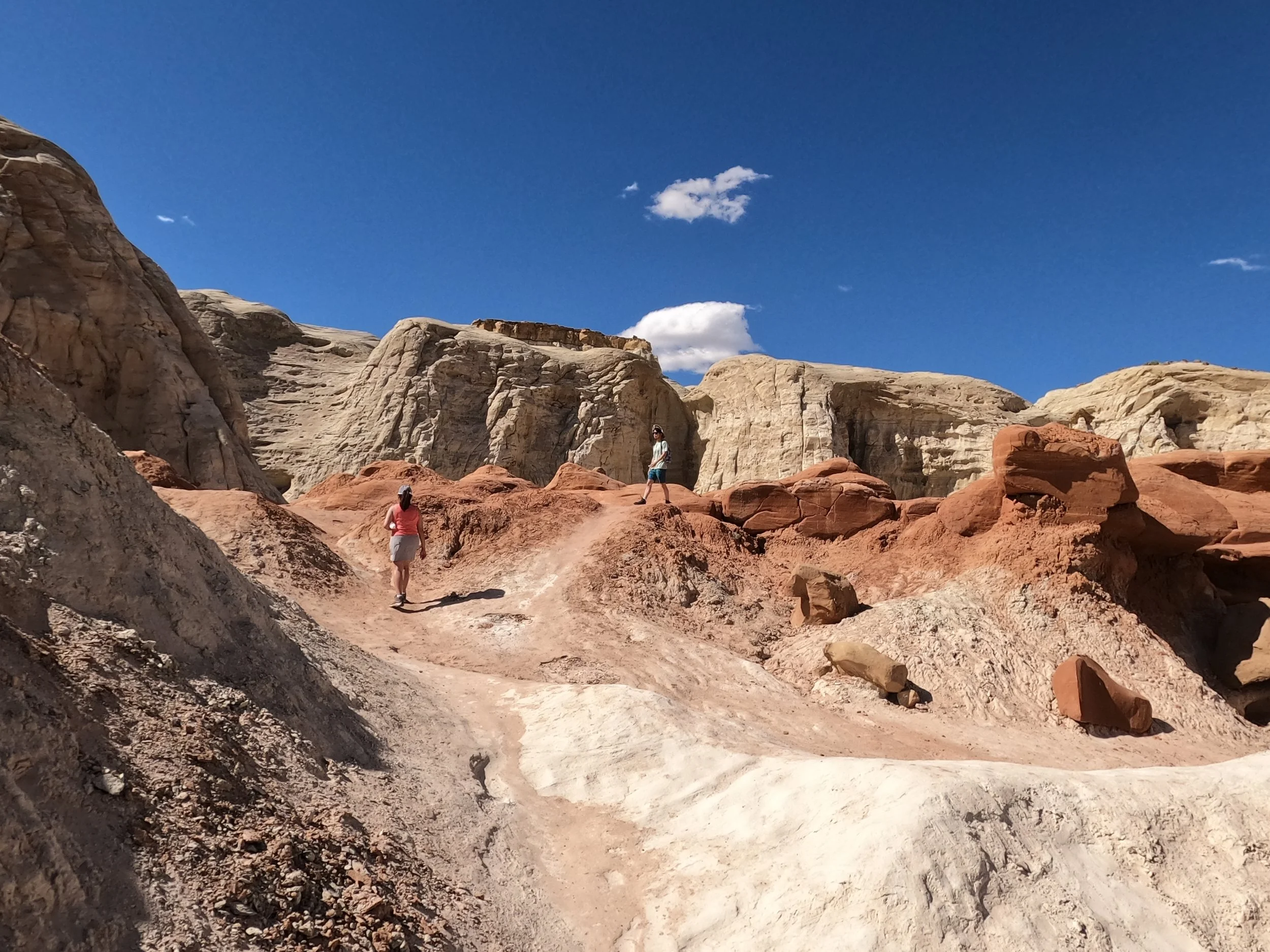 GPTempDownload 14.JPG