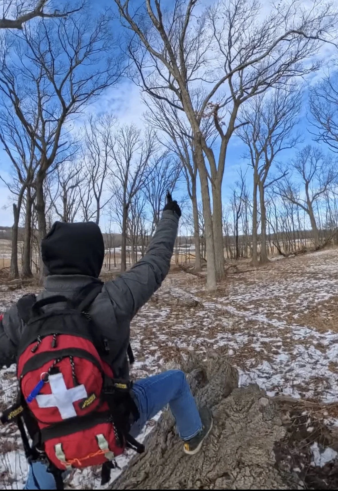 View recent photos.jpeg