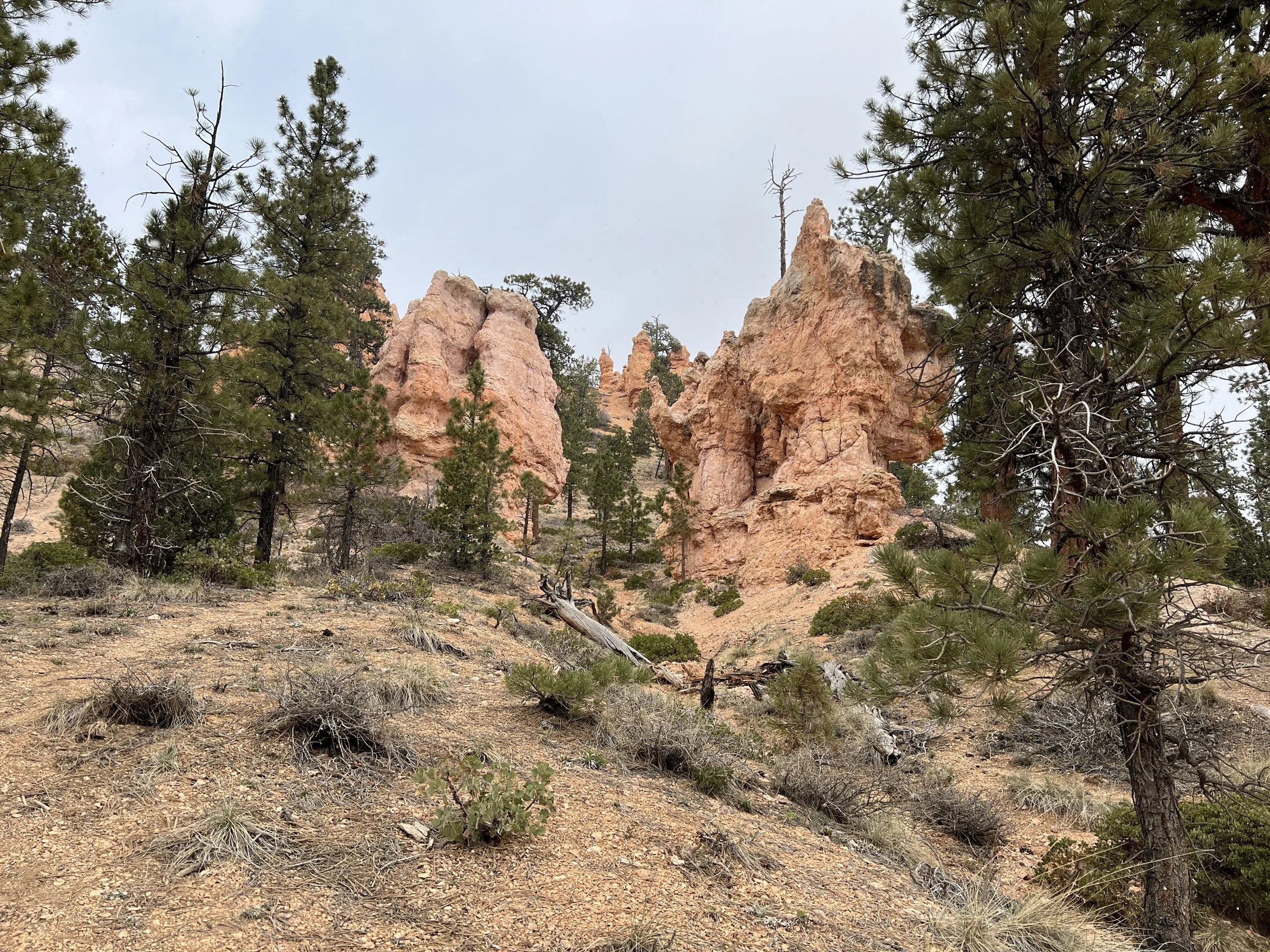 DJI_20220422_102335_268 2.JPG