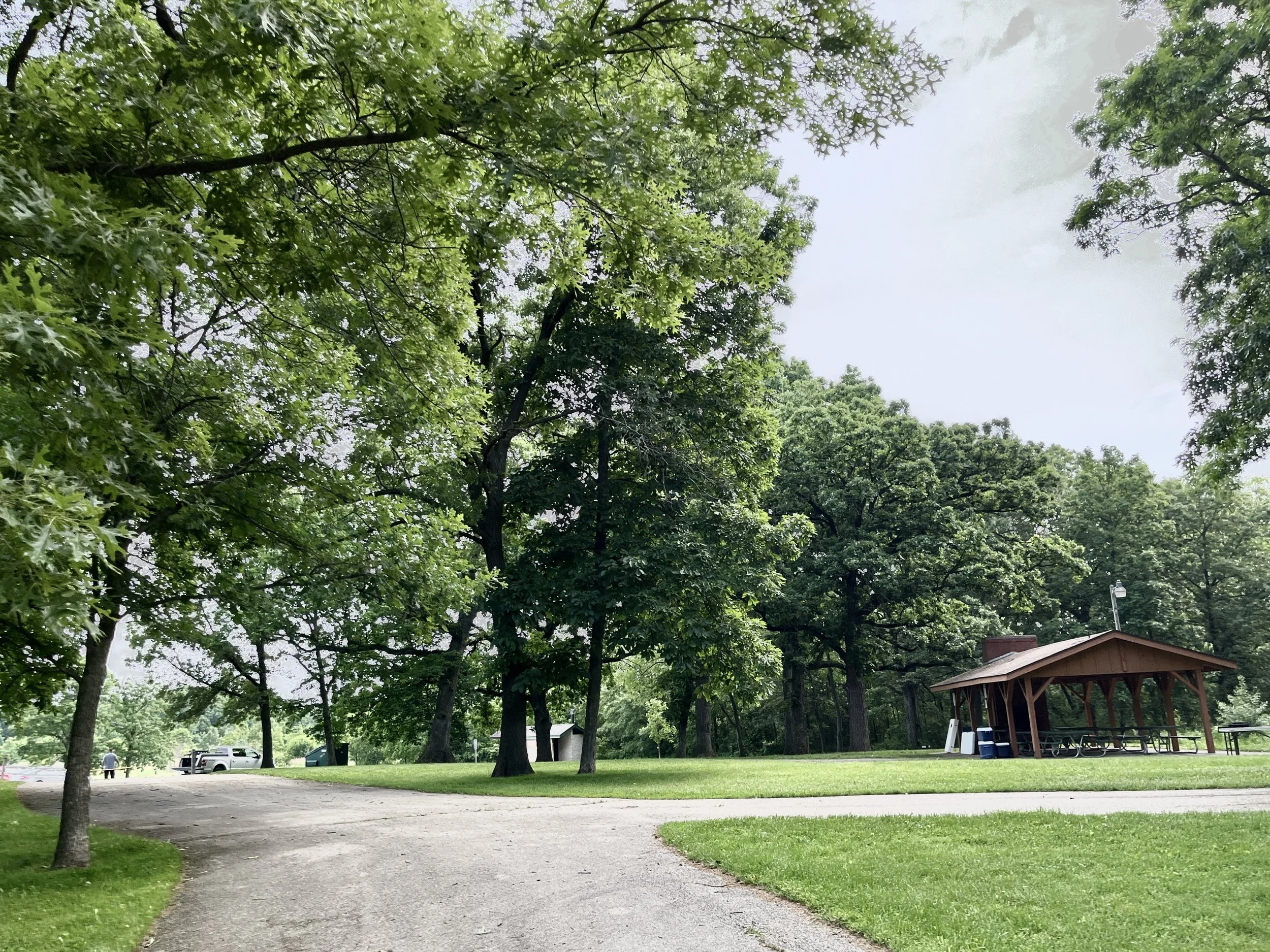 DJI_20220611_093303_997 2.jpg