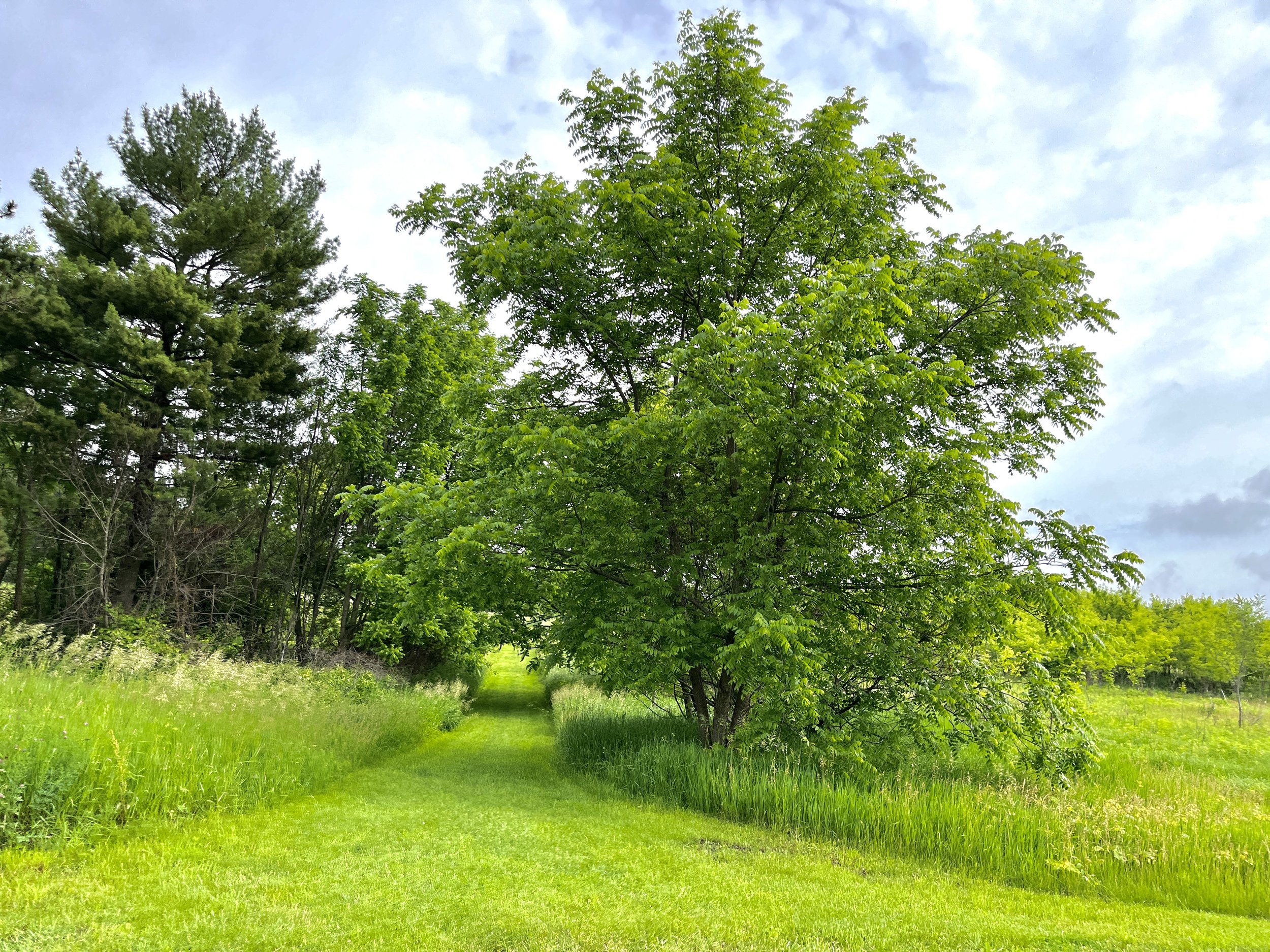 DJI_20220611_085910_195 2.jpg