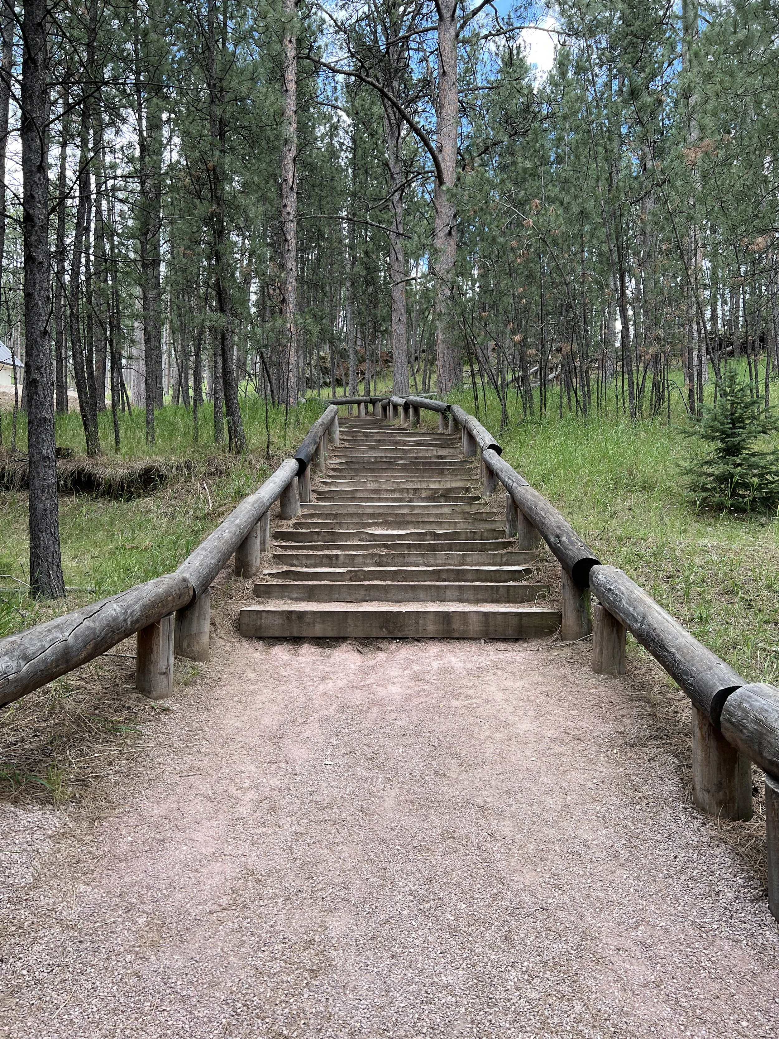 A custer first steps.JPG