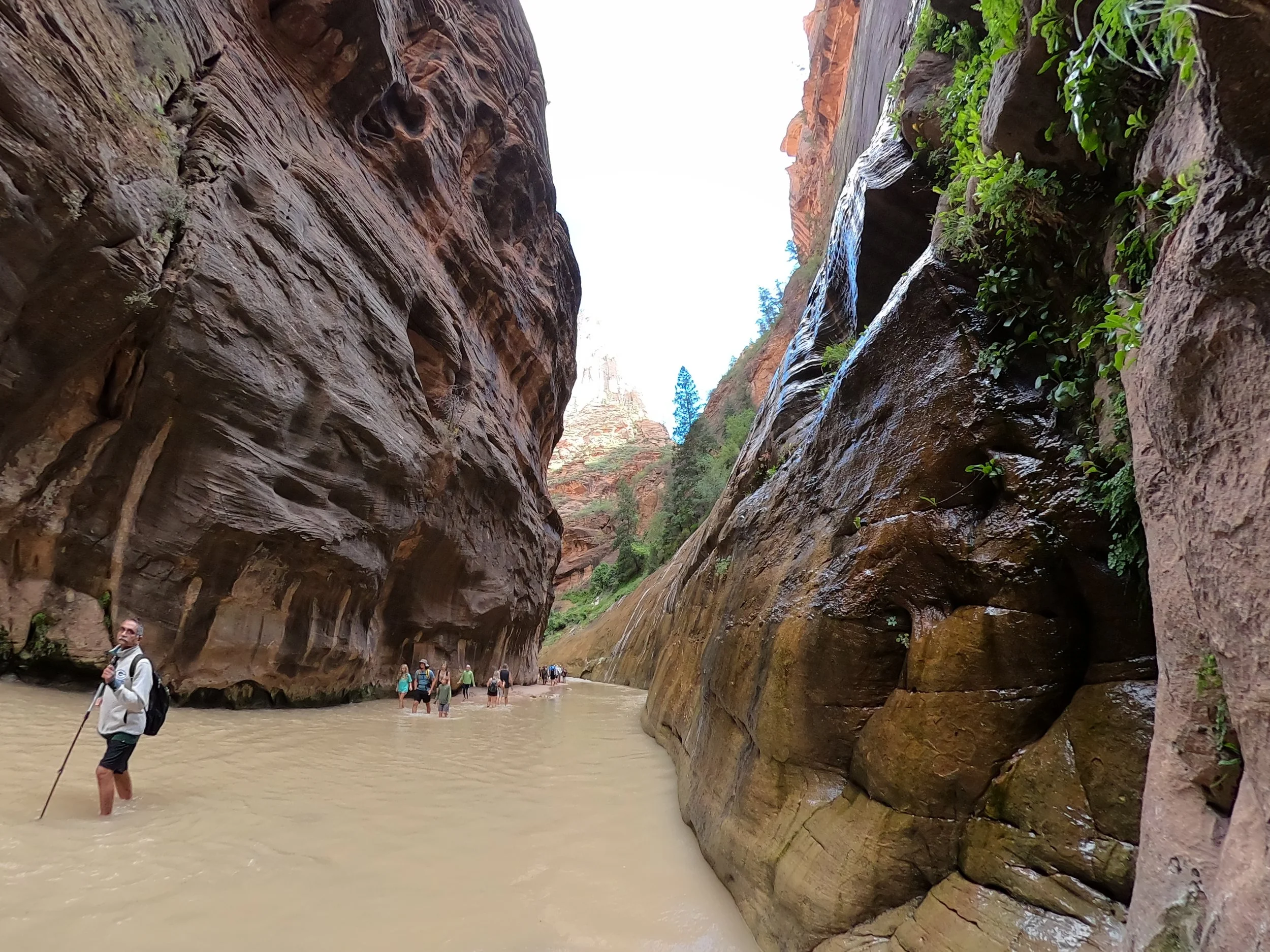 GPTempDownload 15.JPG