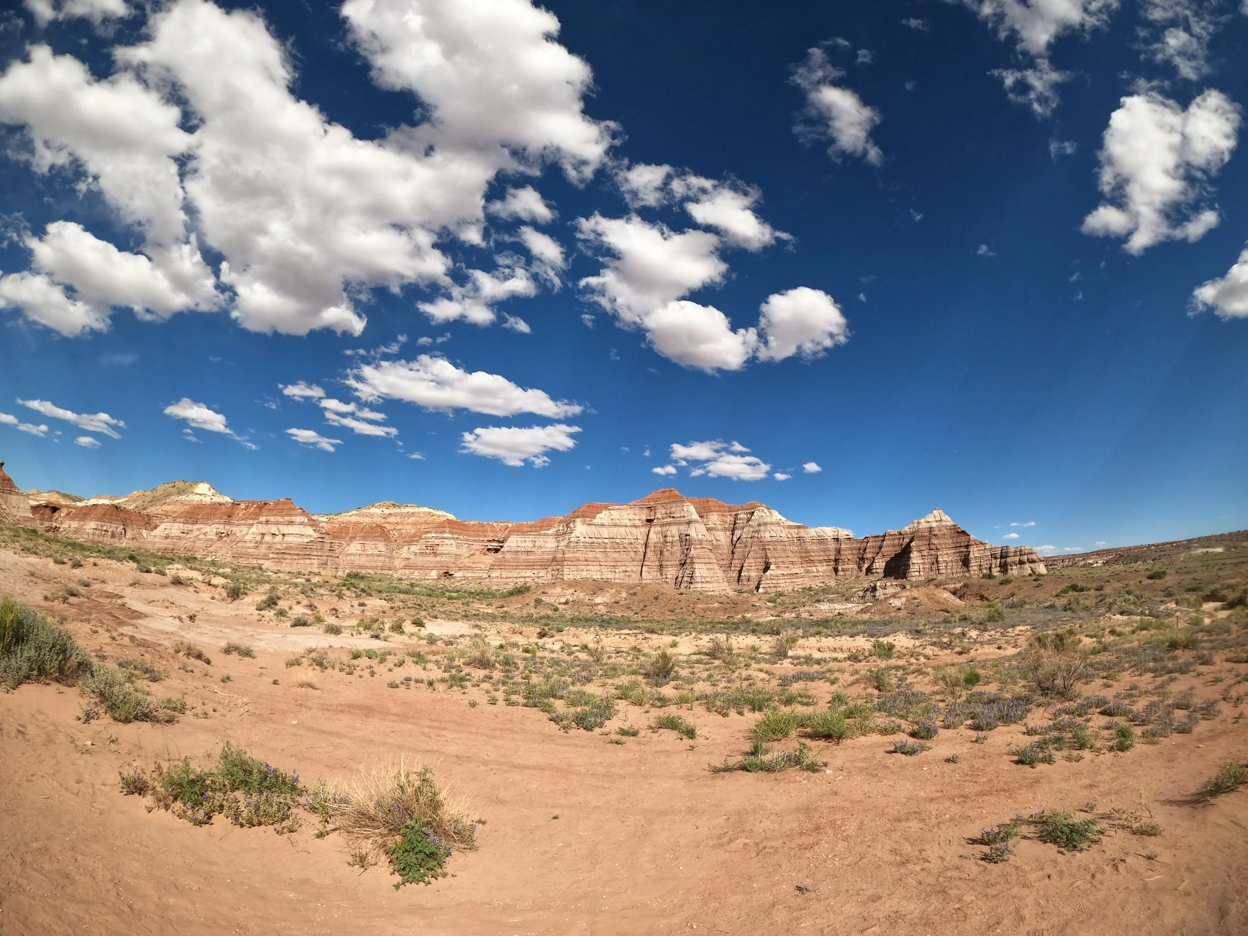 GPTempDownload 51.JPG