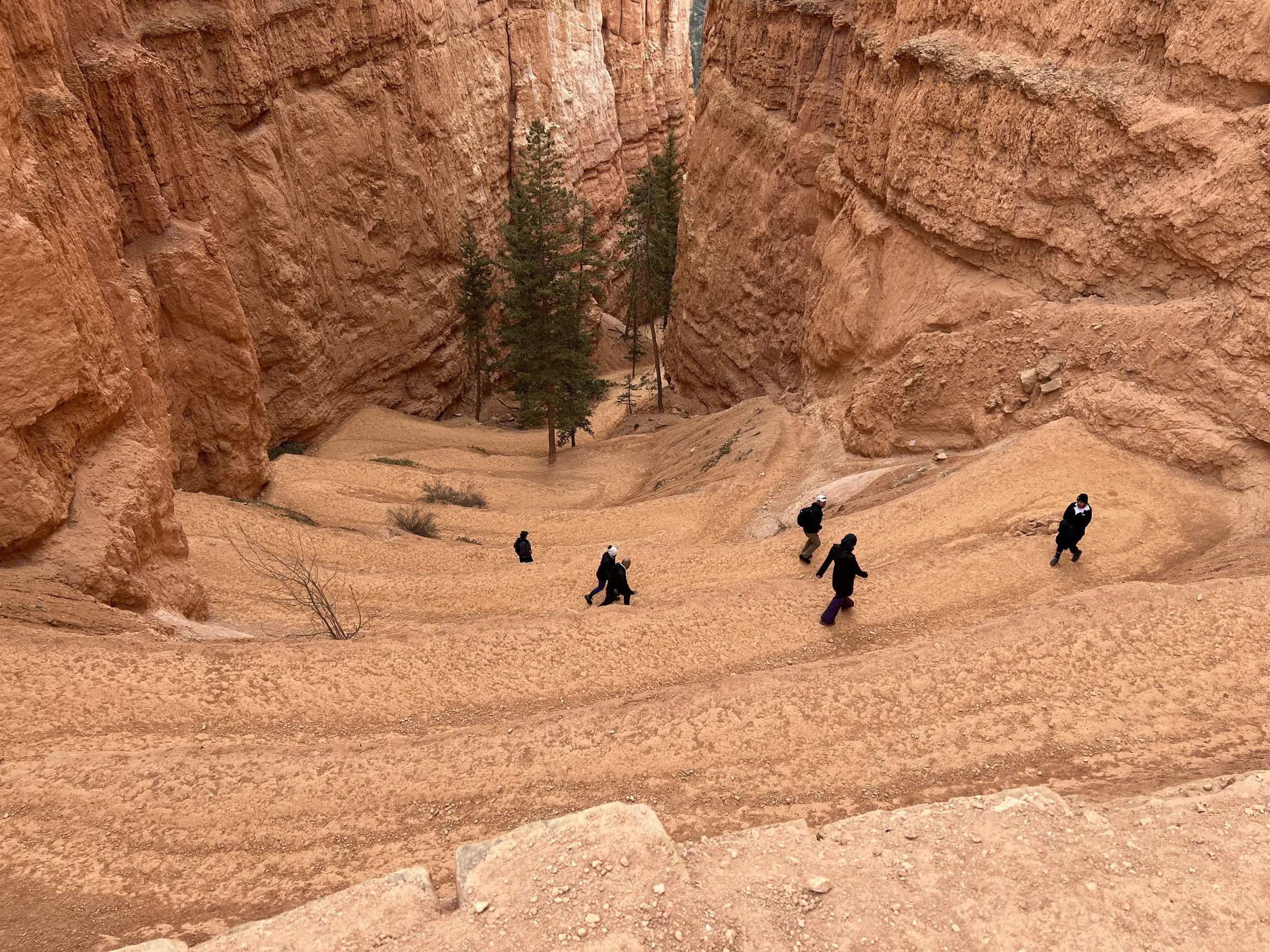 DJI_20220422_100053_666 2.JPG