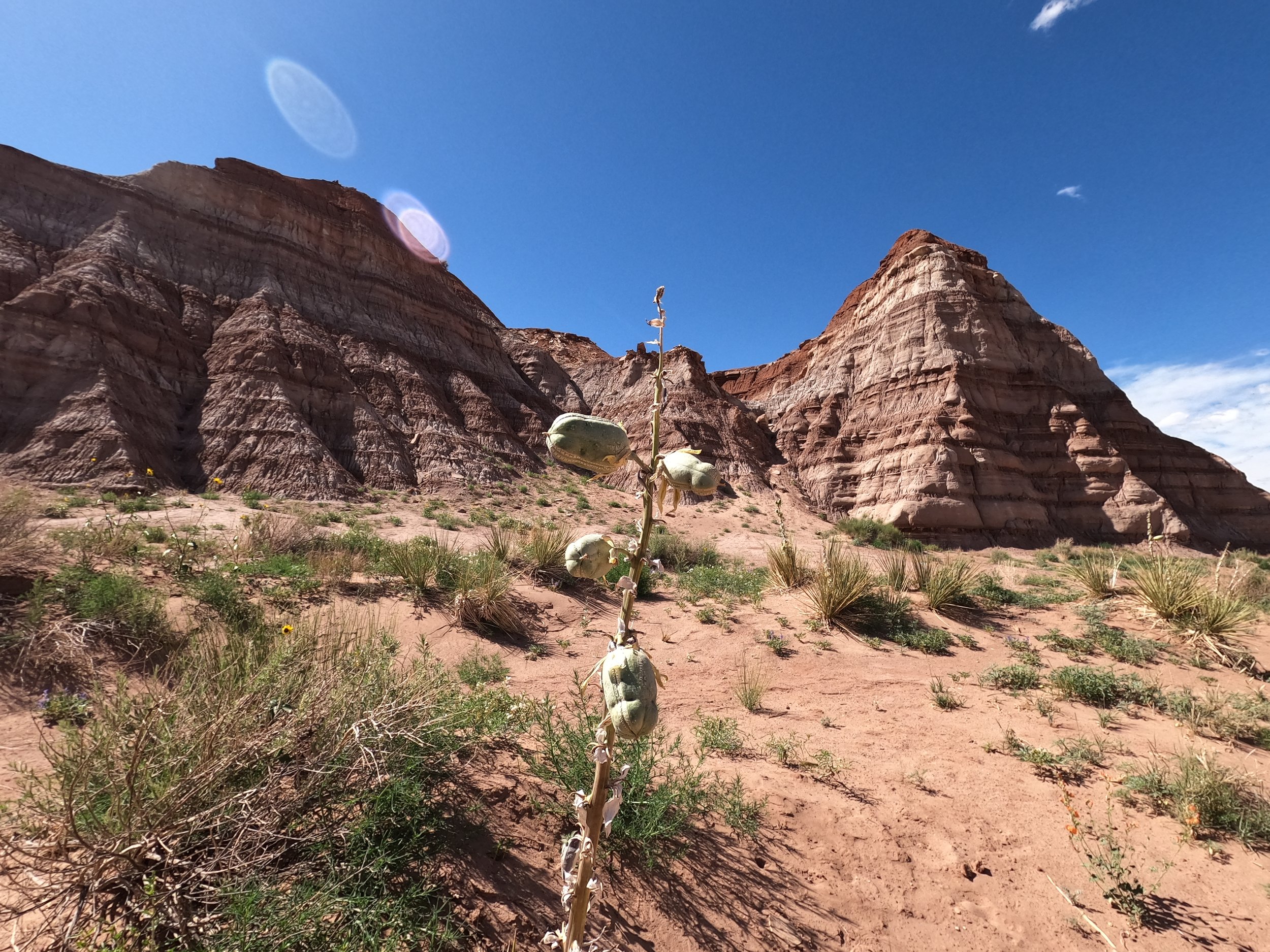 GPTempDownload 2.JPG