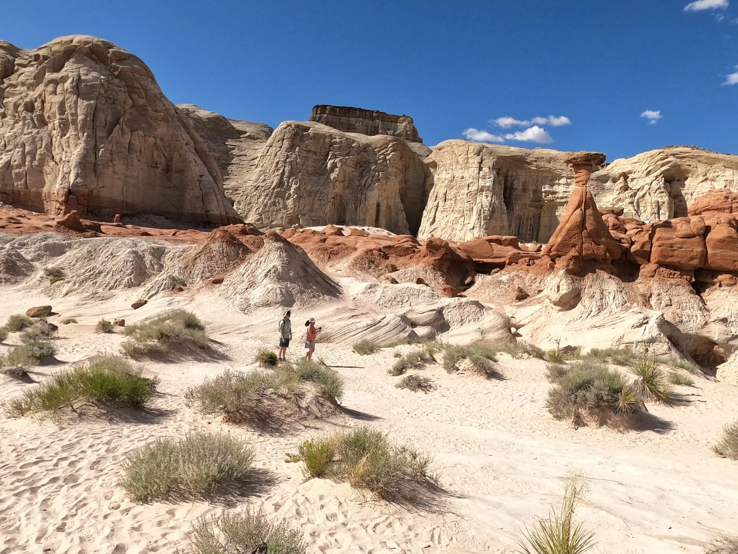 GPTempDownload 36.JPG