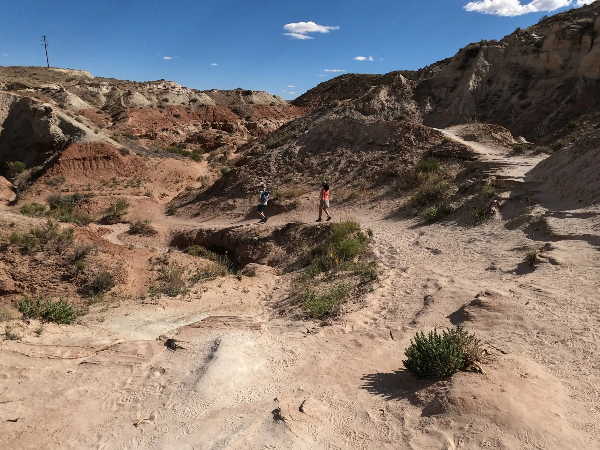 GPTempDownload 39.JPG