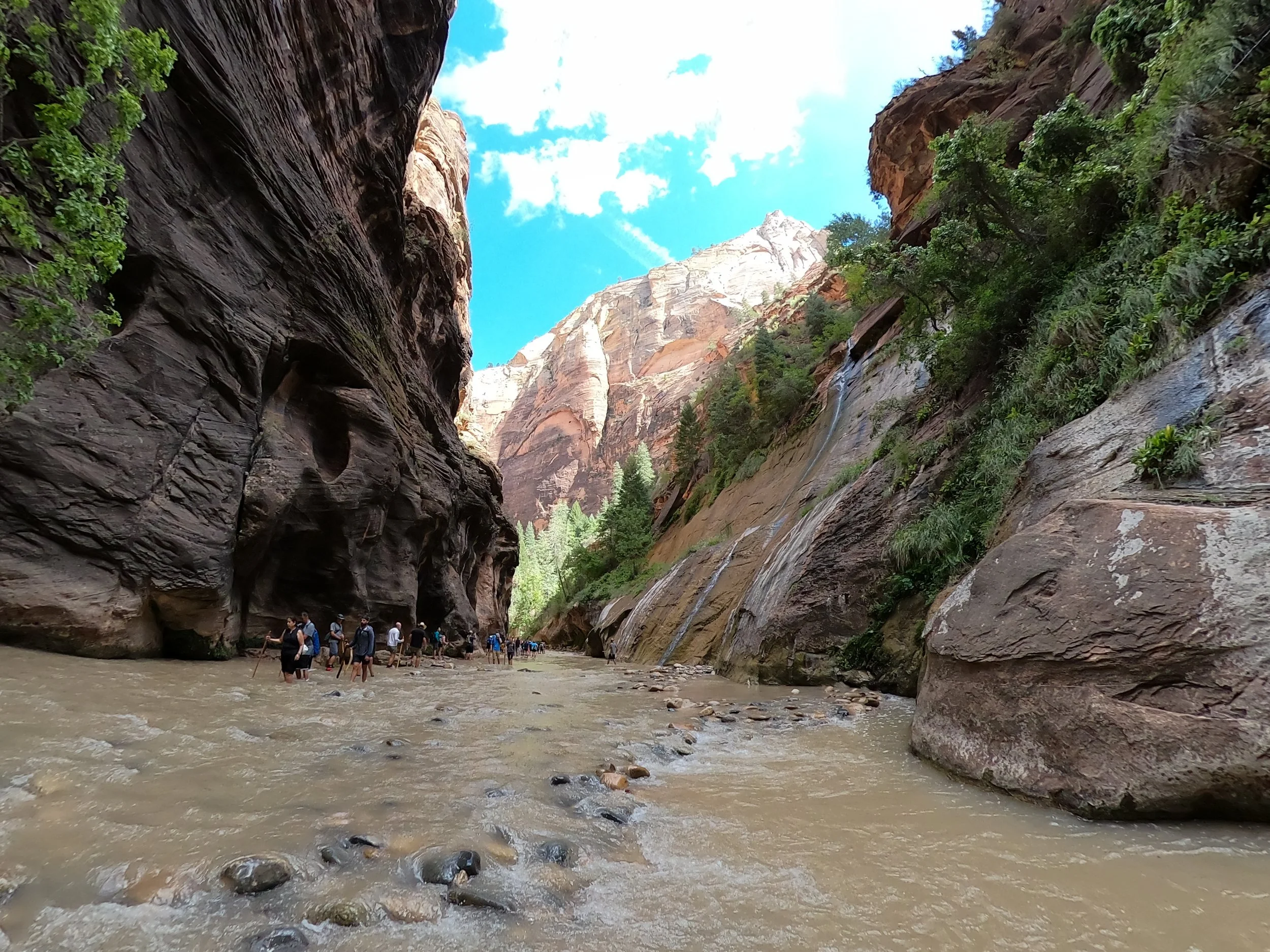 GPTempDownload 18.JPG