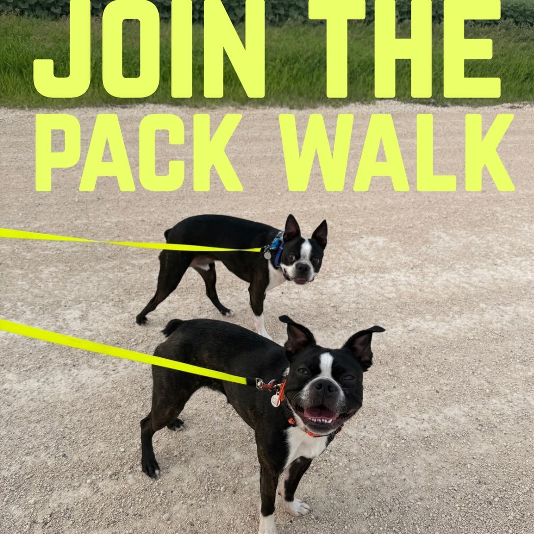PACK WALKS | BUILDING ENVIRONMENTAL NEUTRALITY 🐾
🌟 Wednesdays &amp; Sundays 
🔗 Sign up link in bio 
📍 Winnipeg, MB (details on signup page) 

Join the pack for a drop-in walk focused on building confidence, engagement, and neutrality around dogs,