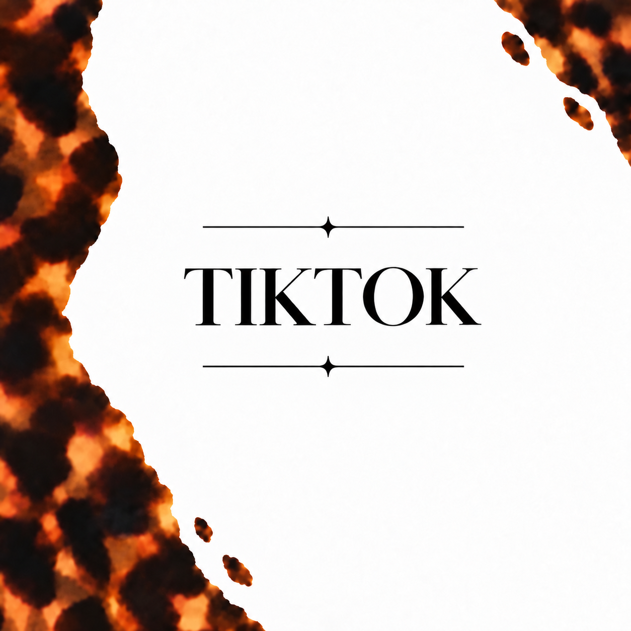 TIKTOK PAGE