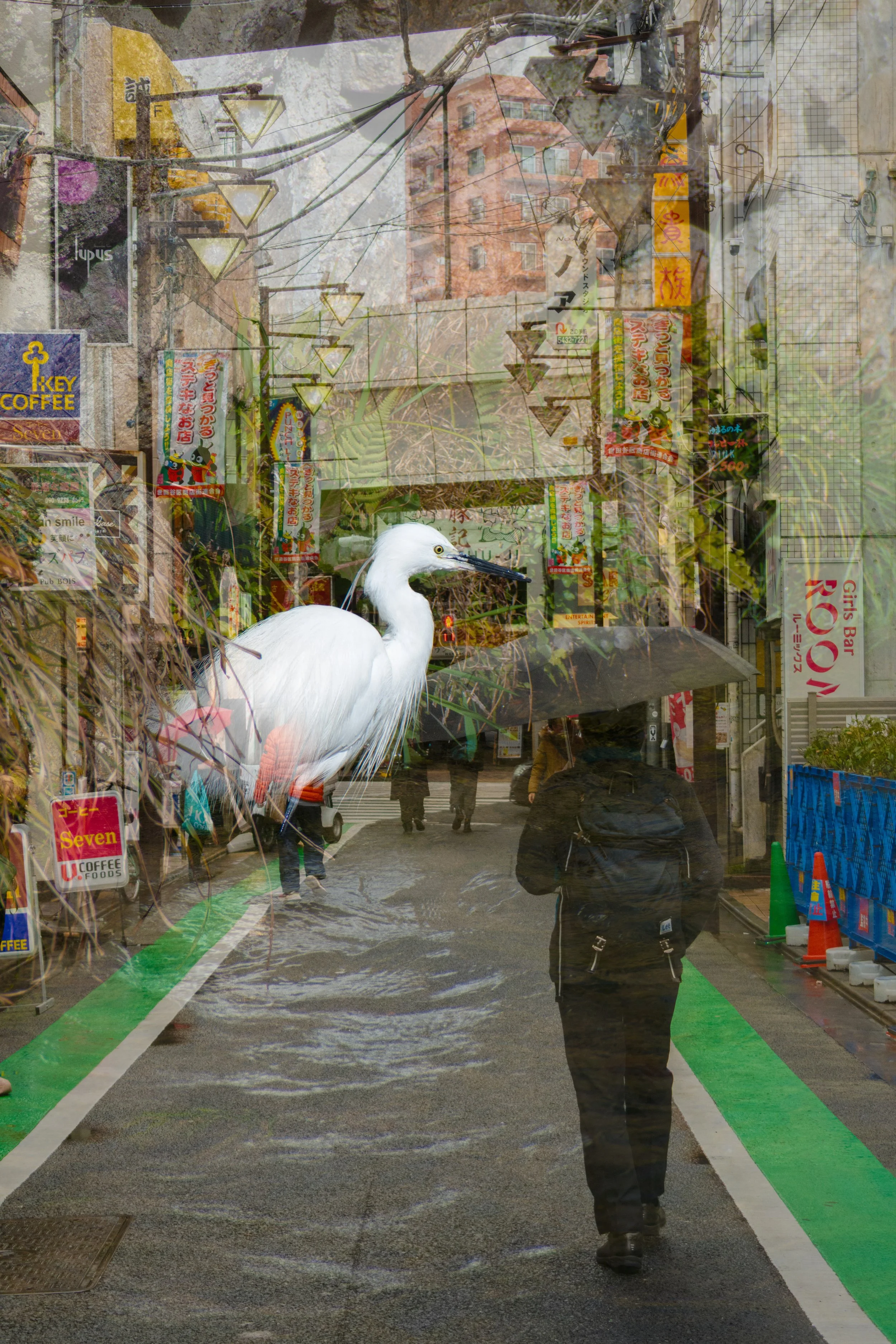 Japan double exposure film photo with crane overlaid with man walking with umbrella.