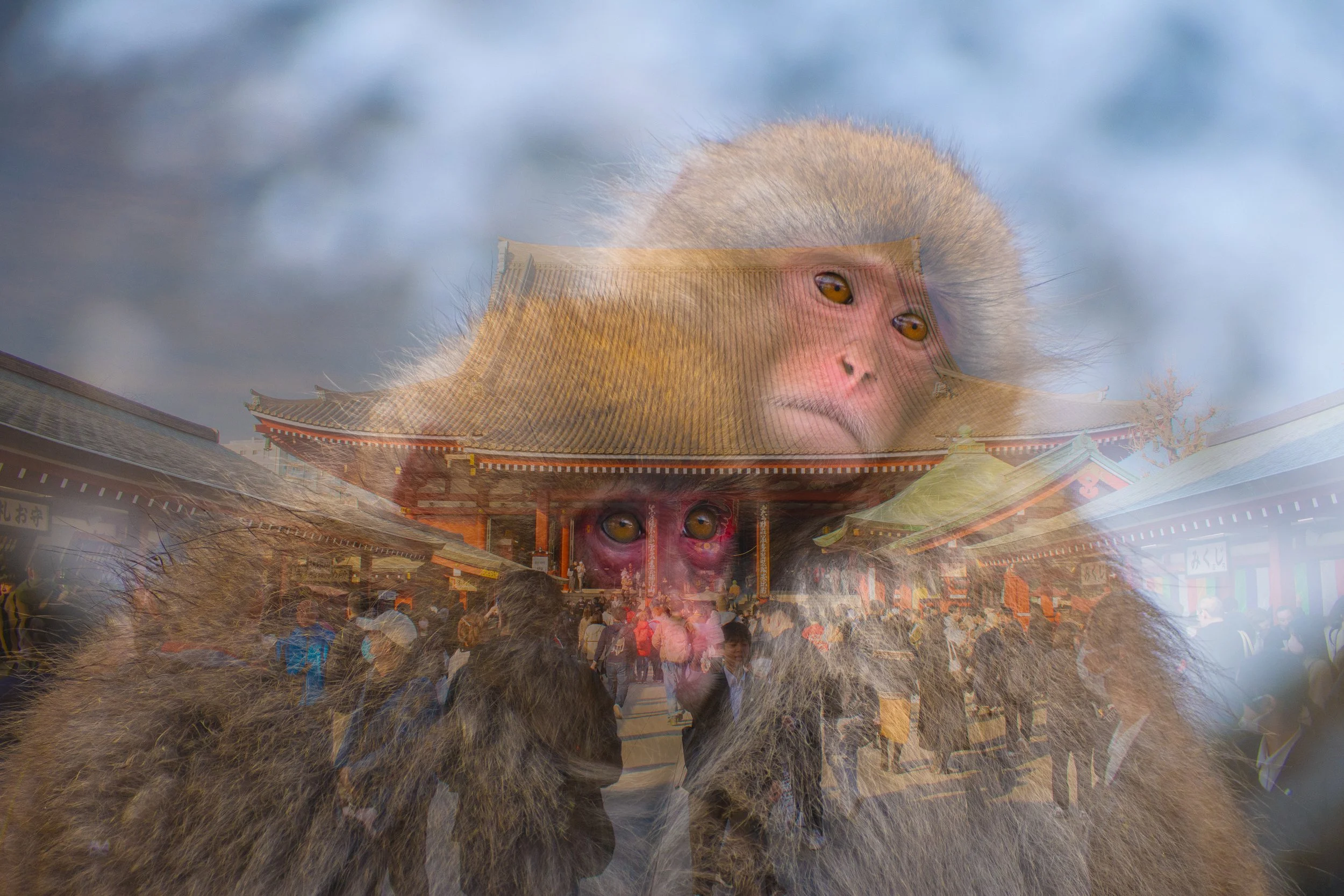 Japan double exposure film photo with two snow monkeys overlaid with Japanese temple entrance and crowd.