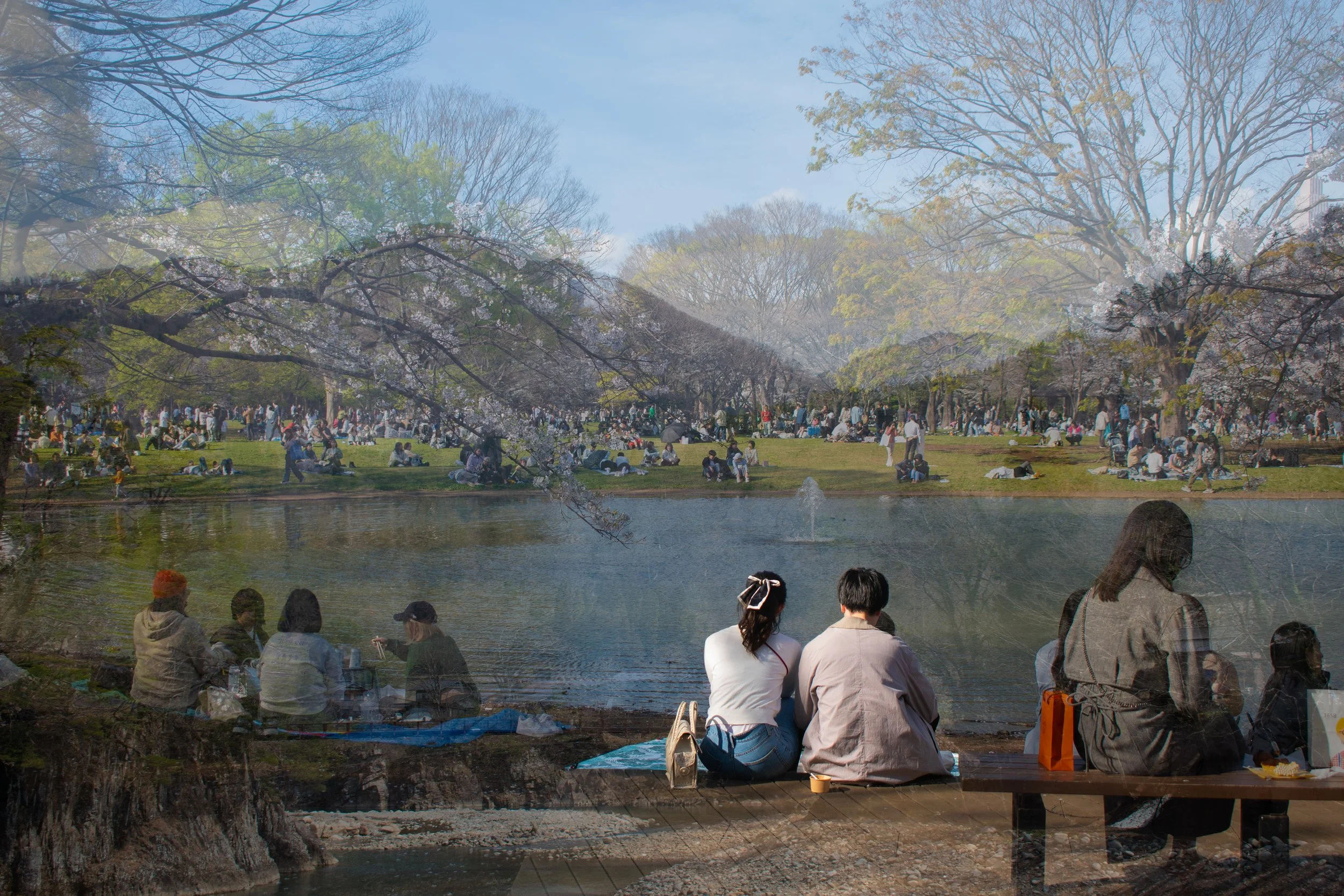 Japan double exposure film photo with people picnicking by lake overlaid with picture of trees.