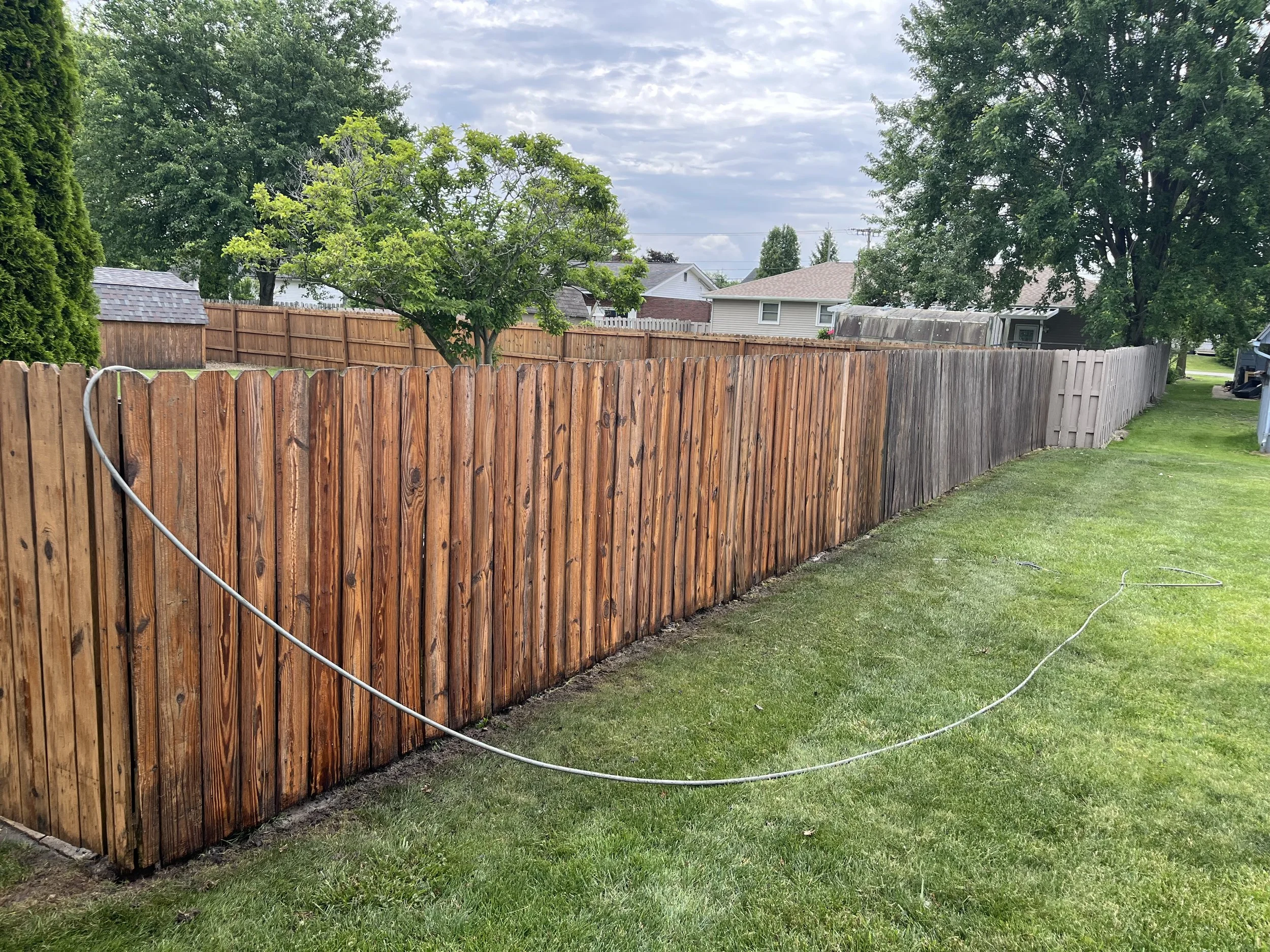 A backyard with a wooden fence, green grass, and trees. A cable is hanging loosely along the fence.