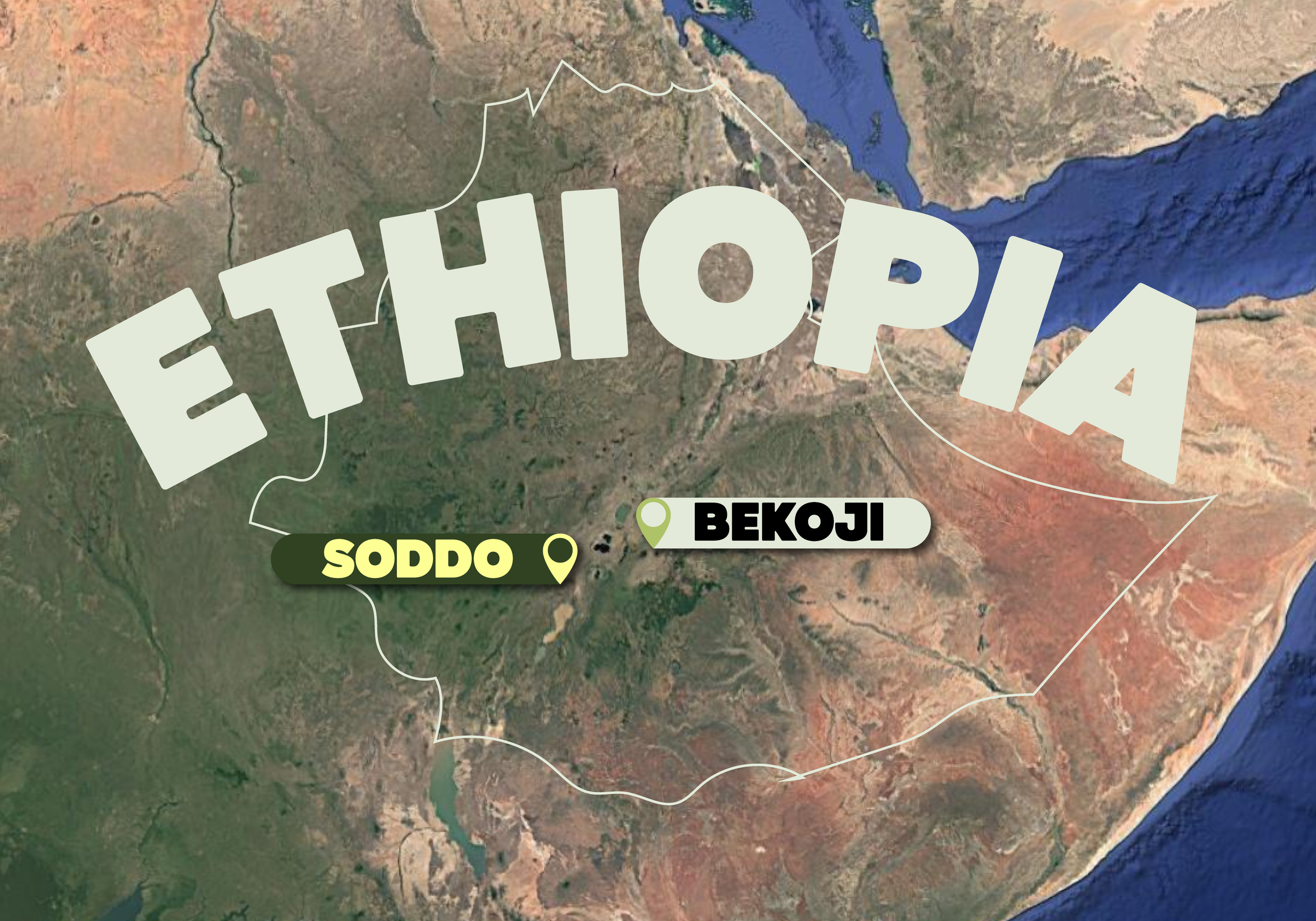 Graphic map of Ethiopia with Soddo and Bekoji locations called out
