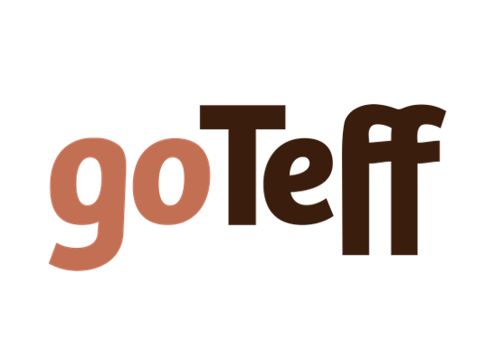 Logo with the words 'goTeff' in large, bold font, with 'go' in light brown and 'Teff' in dark brown, on a black background.