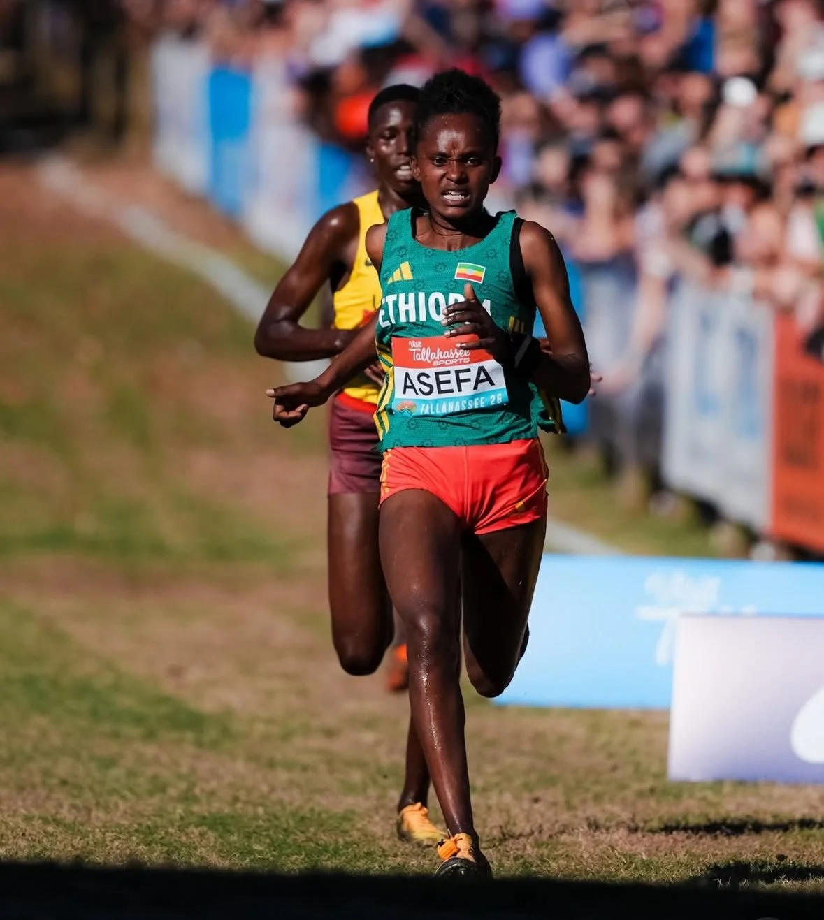 BIG NEWS 🥈🌍 GGRF alum Wosene Asefa has placed SILVER at the (U20) @worldxcchampionships in Tallahassee, FL🤯✨

From our program to the world stage, Wosene&rsquo;s journey is a powerful reminder of what&rsquo;s possible when girls are supported to d