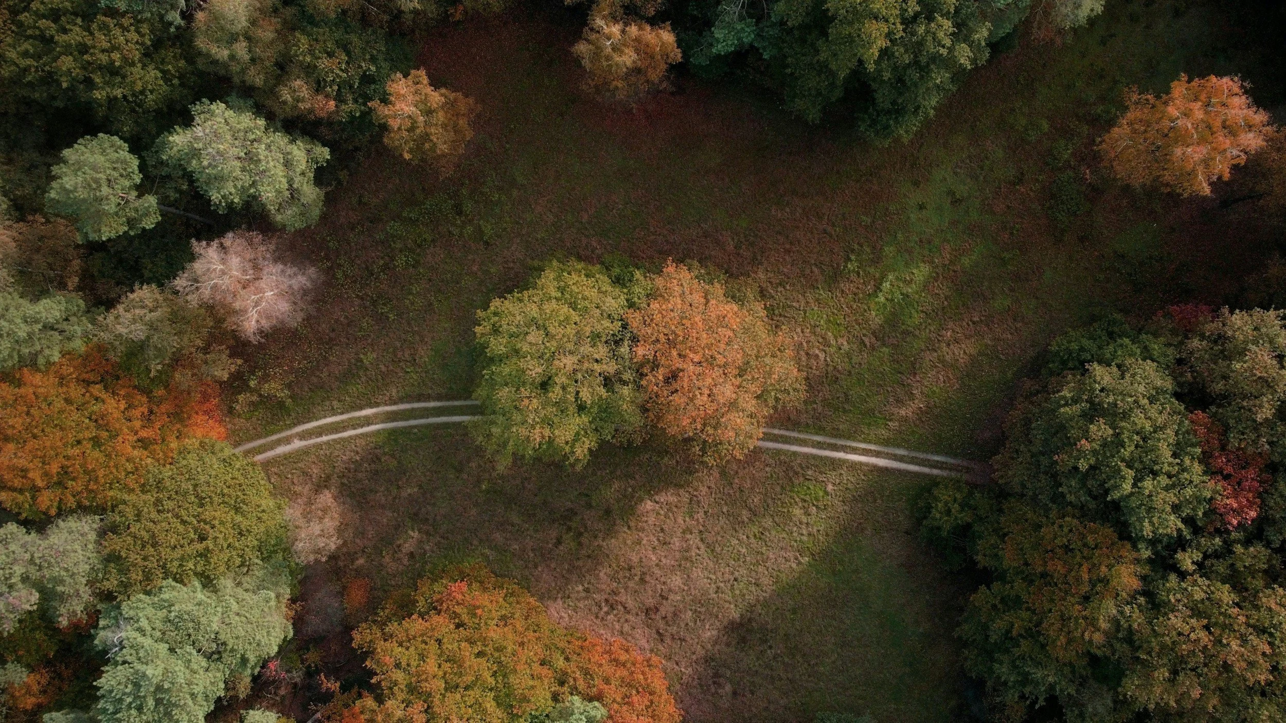 Aerial view of park in Autumn