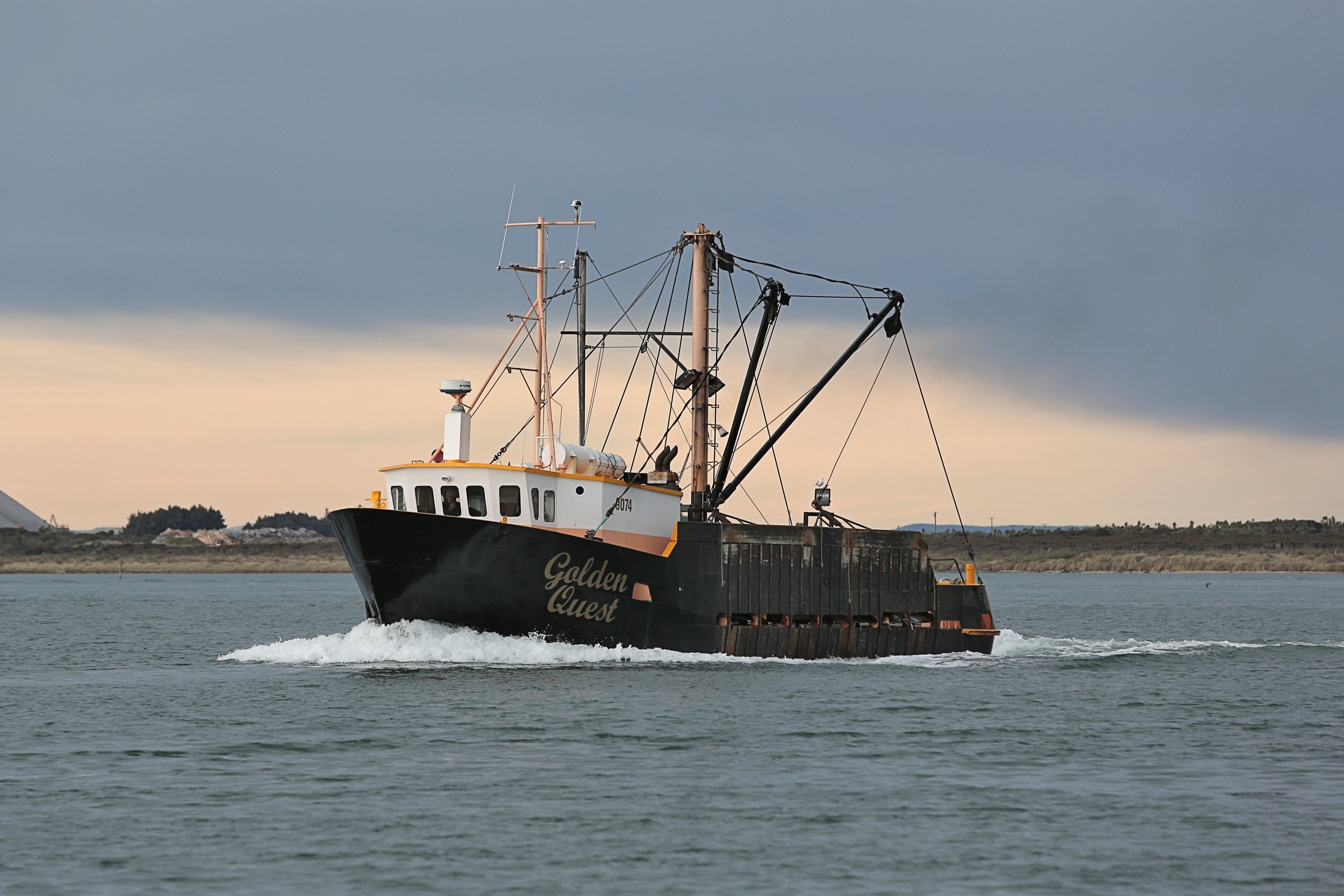Bluff oyster season charges on after Ngāi Tahu pulls pin