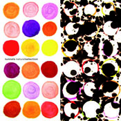 Tunnels "Natural Selection" (Copy)