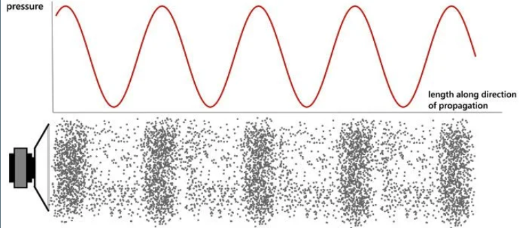 The mechanosensory effect