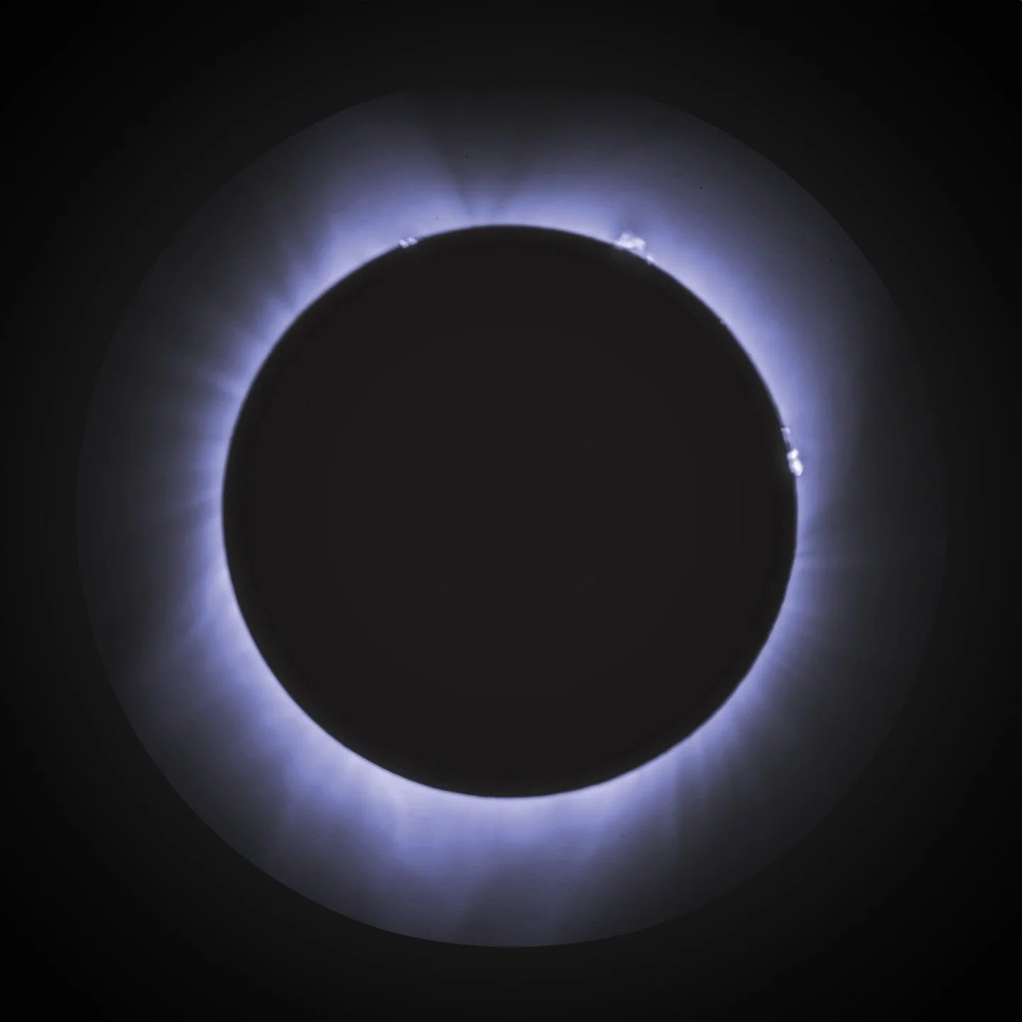 We know that wandering black holes exist in massive galaxies, but they are difficult to study because, with the exception of when they briefly disrupt a star, they produce no light. So there are many wanderers out there! Check out the latest review o