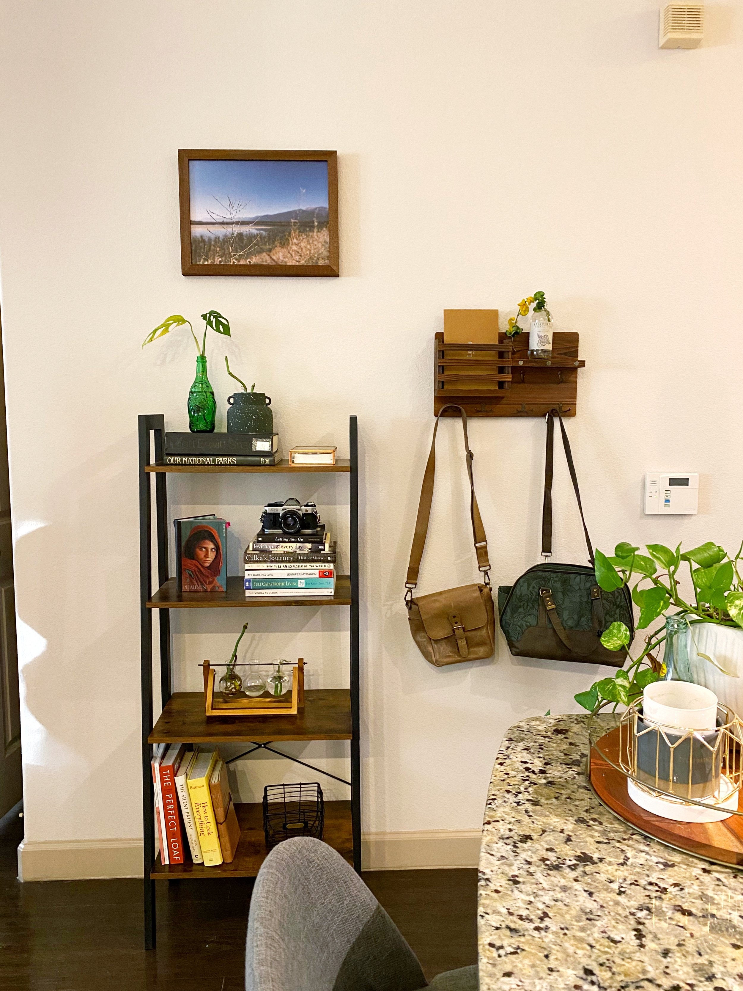 Decorative wall with a framed landscape photograph, hanging bags, a shelf with books, camera, and decorative objects, and a granite countertop with plants and candles.