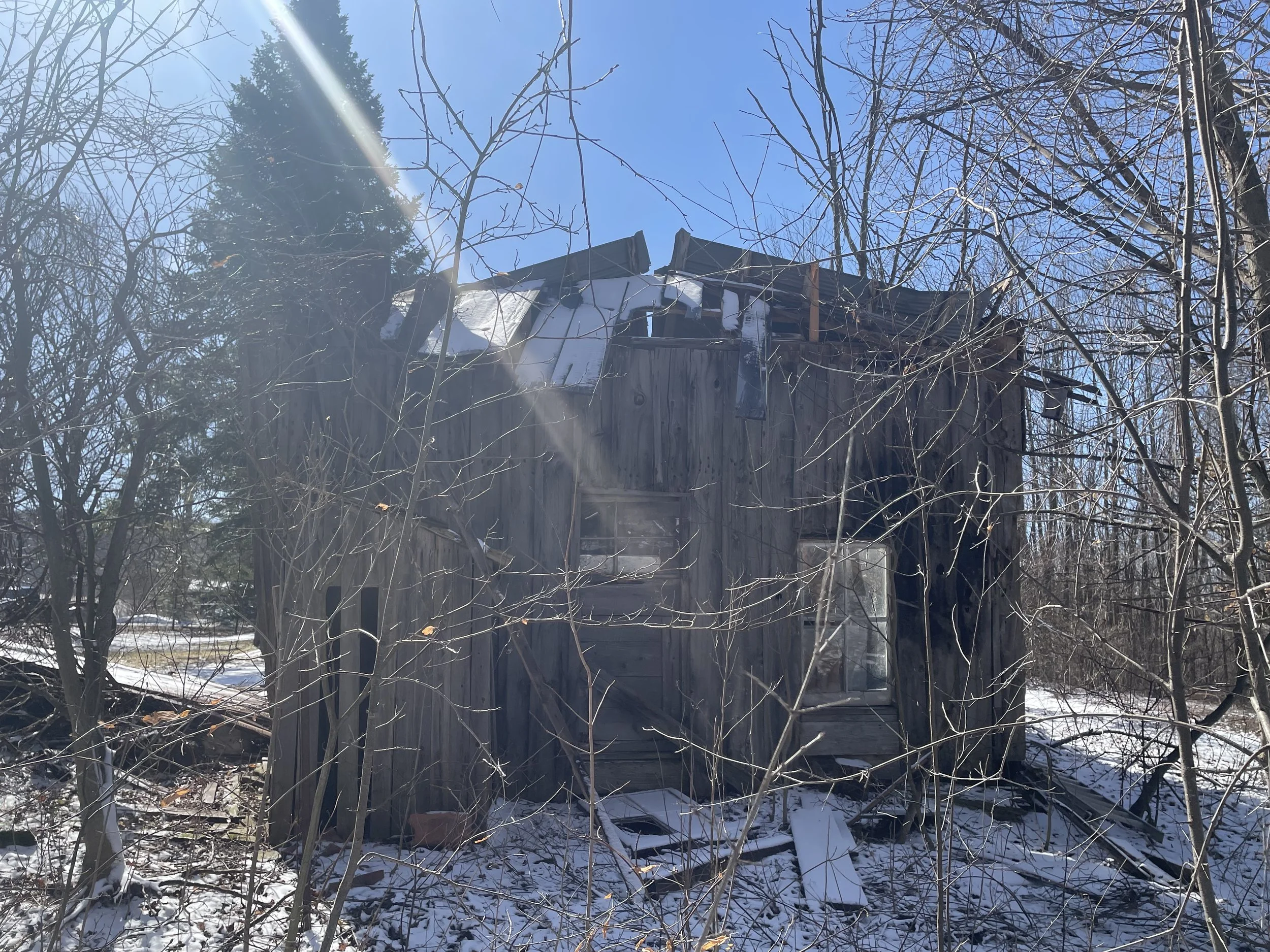 Make Room for Growth (Copy)