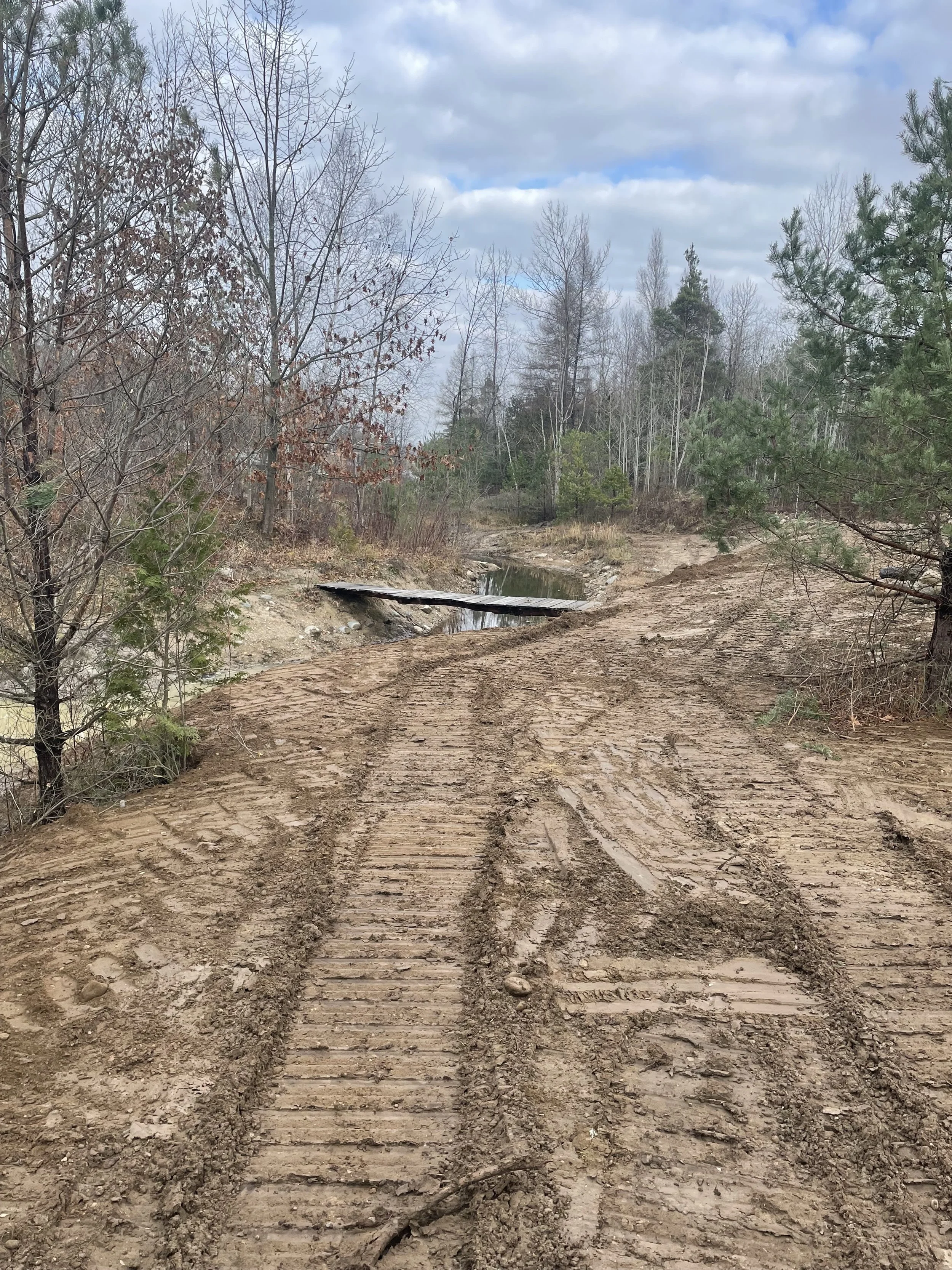 Small Steps Create Big Shifts (Copy)