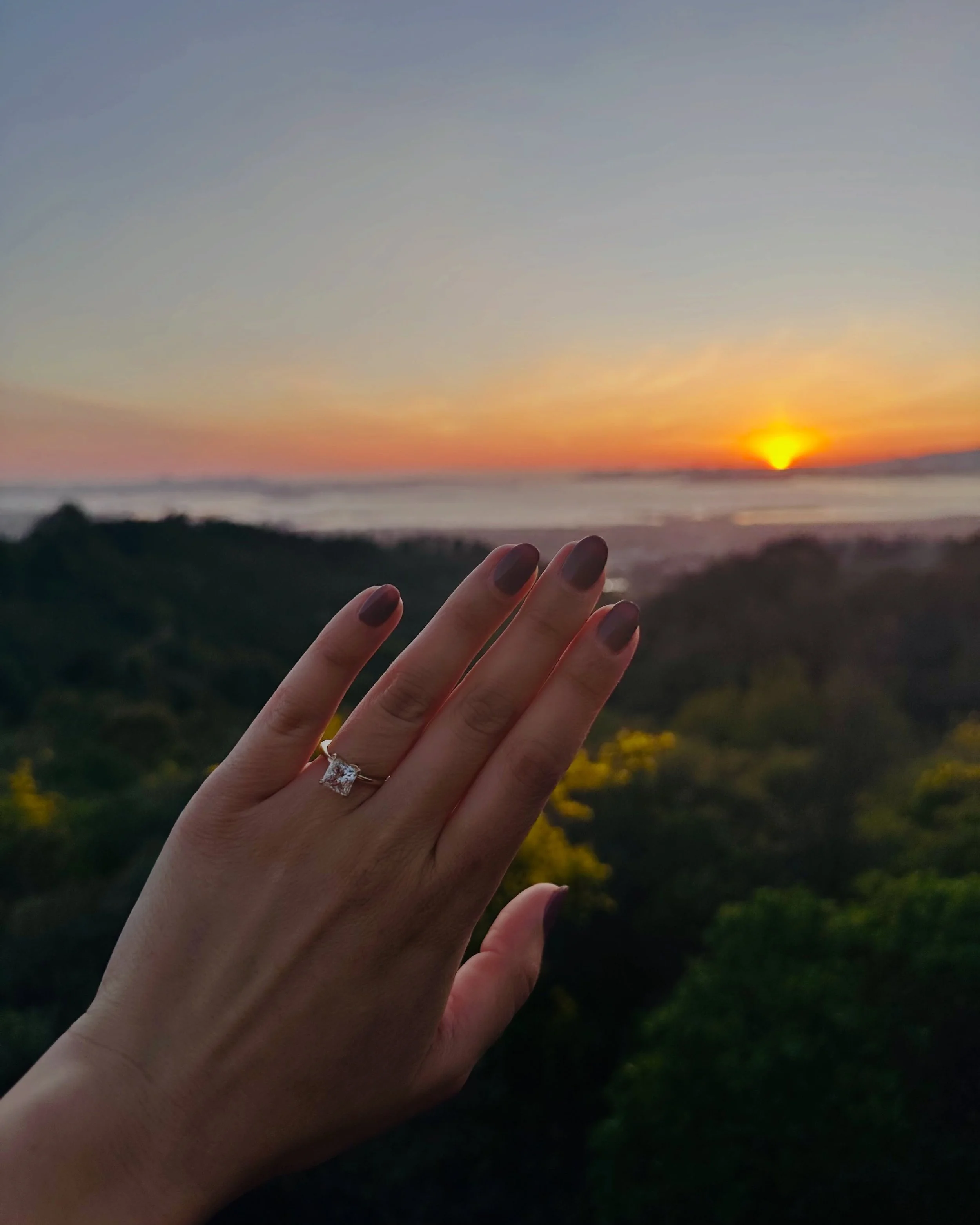 We took a leap of faith and booked our dream venue.. sight unseen! 💍🎉

Read more about it on the blog [link in bio]. 
Can&rsquo;t wait to bring you all along for the ride. 😊