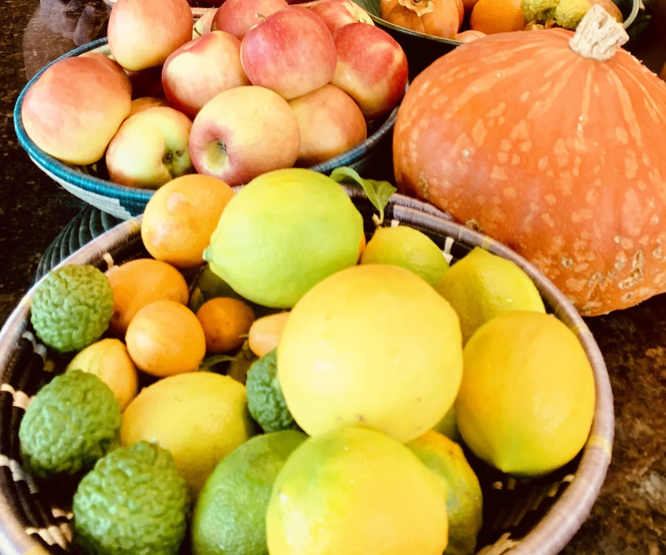 Assorted fruits including apples, lemons, limes, and a pumpkin grown in a regenerative garden.