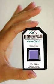 Affymetrix 'GeneChip' array for human genome analysis