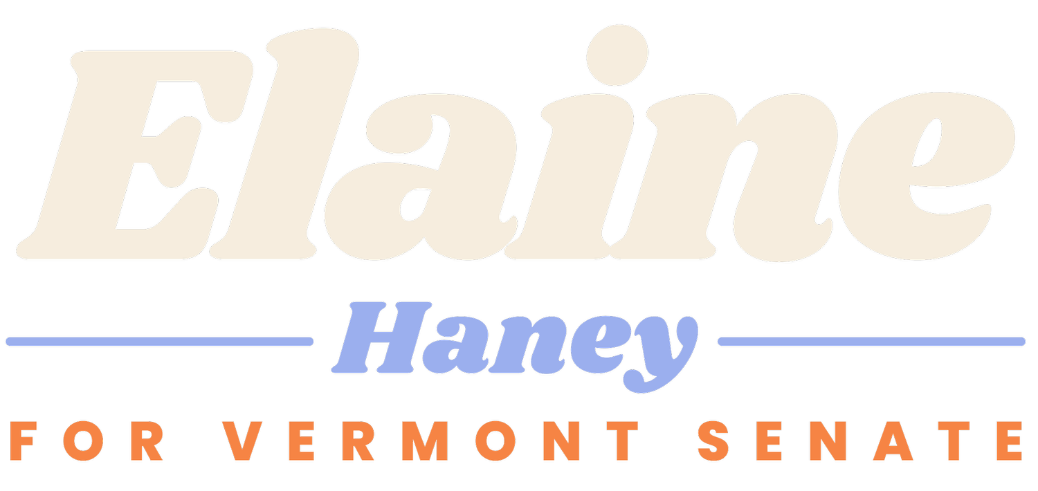 Elaine Haney for VT Senate