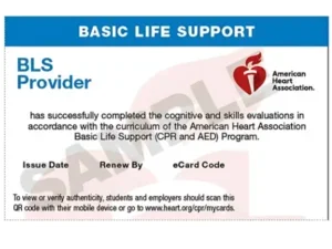 Basic Life Support (BLS) provider card issued by the American Heart Association, with a red heart and medical cross symbol, and details like issue date and e-card code.
