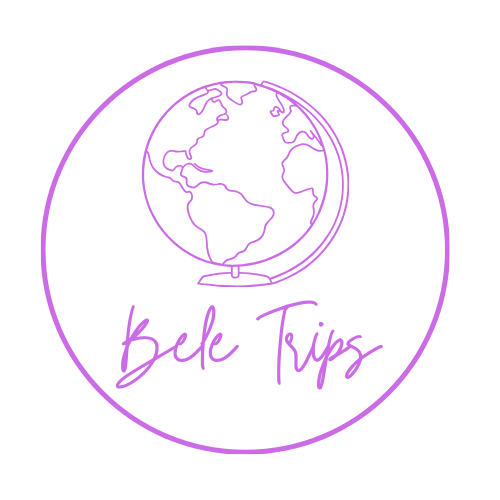 Logo de un globo terráqueo en línea de neón morado y el texto 'Bike Trips' debajo.