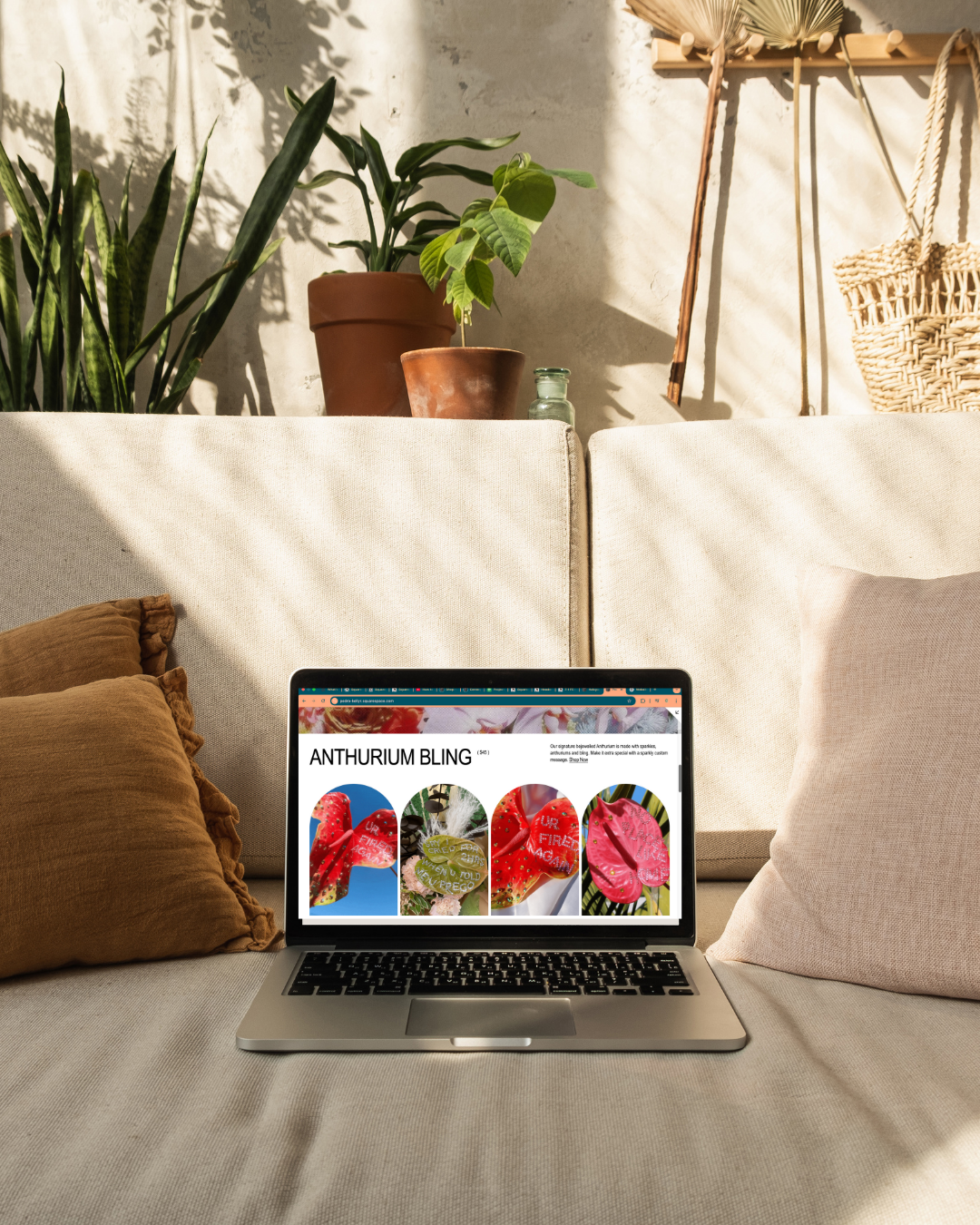 A laptop on a beige couch displaying a website called 'ANATHURIUM BLING' with pictures of bright pink and red flowers. There are brown and pink pillows on each side of the laptop. Behind the couch, there are potted plants on a shelf, a concrete wall, and some woven baskets and plant hangers.