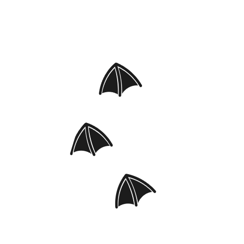 Three black bats flying against a dark background.