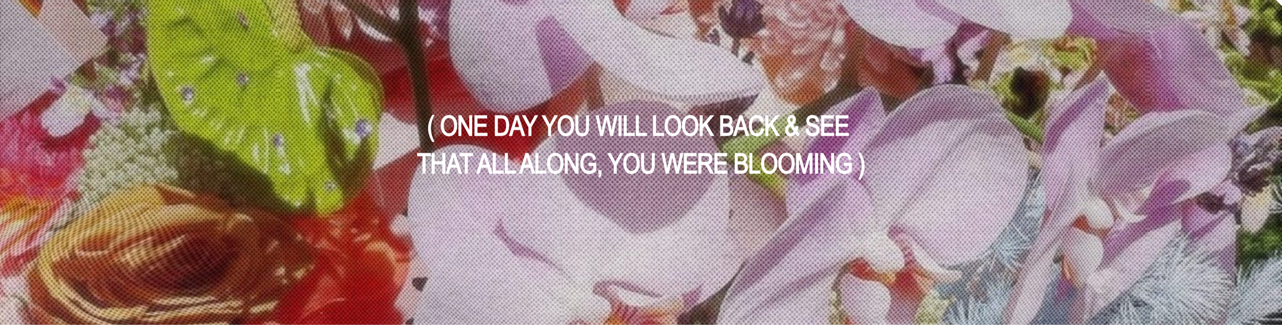 Close-up of blooming pink, white, and purple orchids with a quote overlay that reads: "One day you will look back & see that all along, you were blooming."