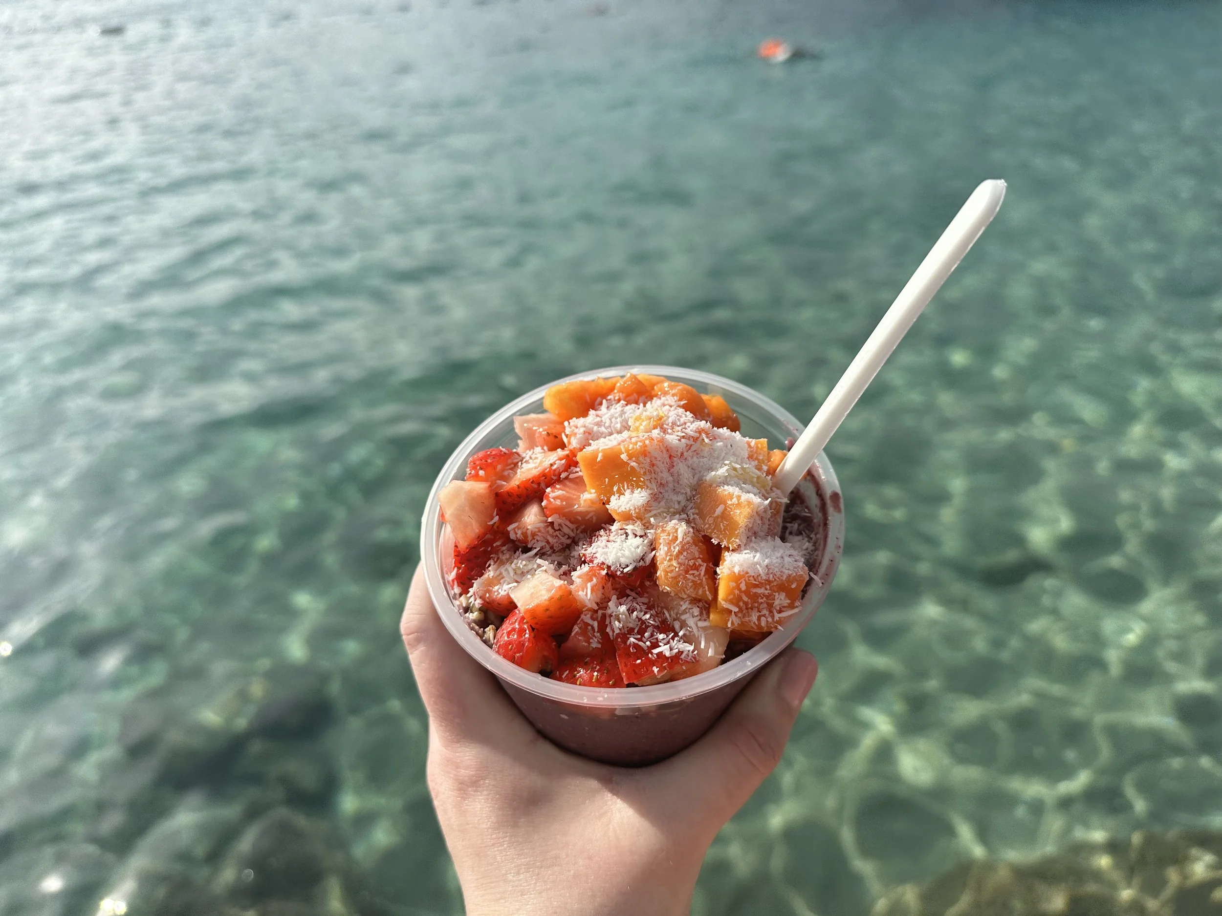 Hand holding a cup of frozen yogurt topped with strawberries, mango chunks, and shredded coconut, with water in the background.