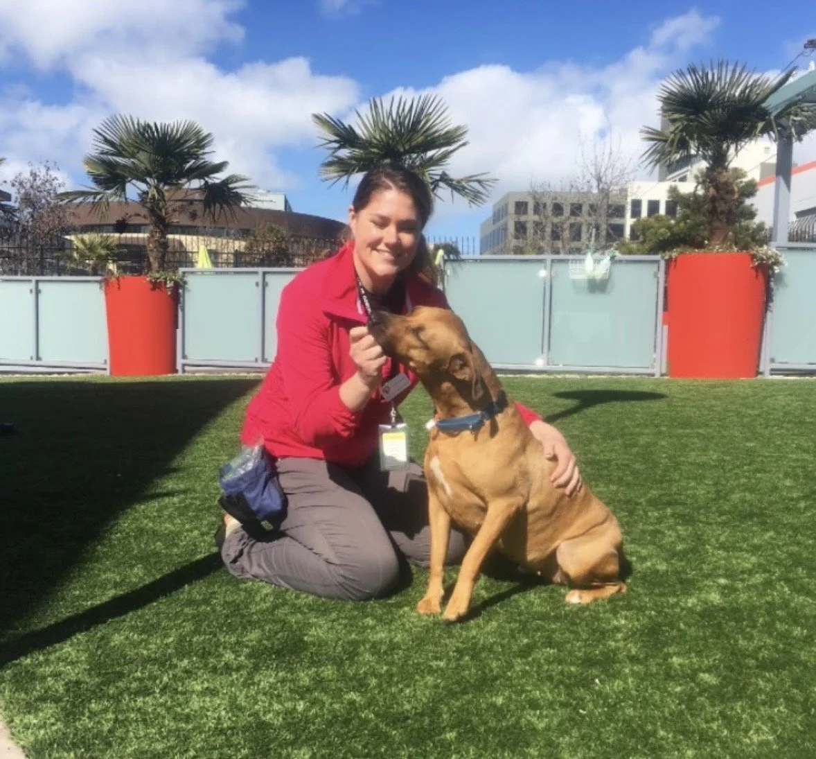 A woman in a red jacket kneeling on grass, playing with a large brown dog during daytime. The background includes palm trees, a fence, and a building under a blue sky with some clouds.